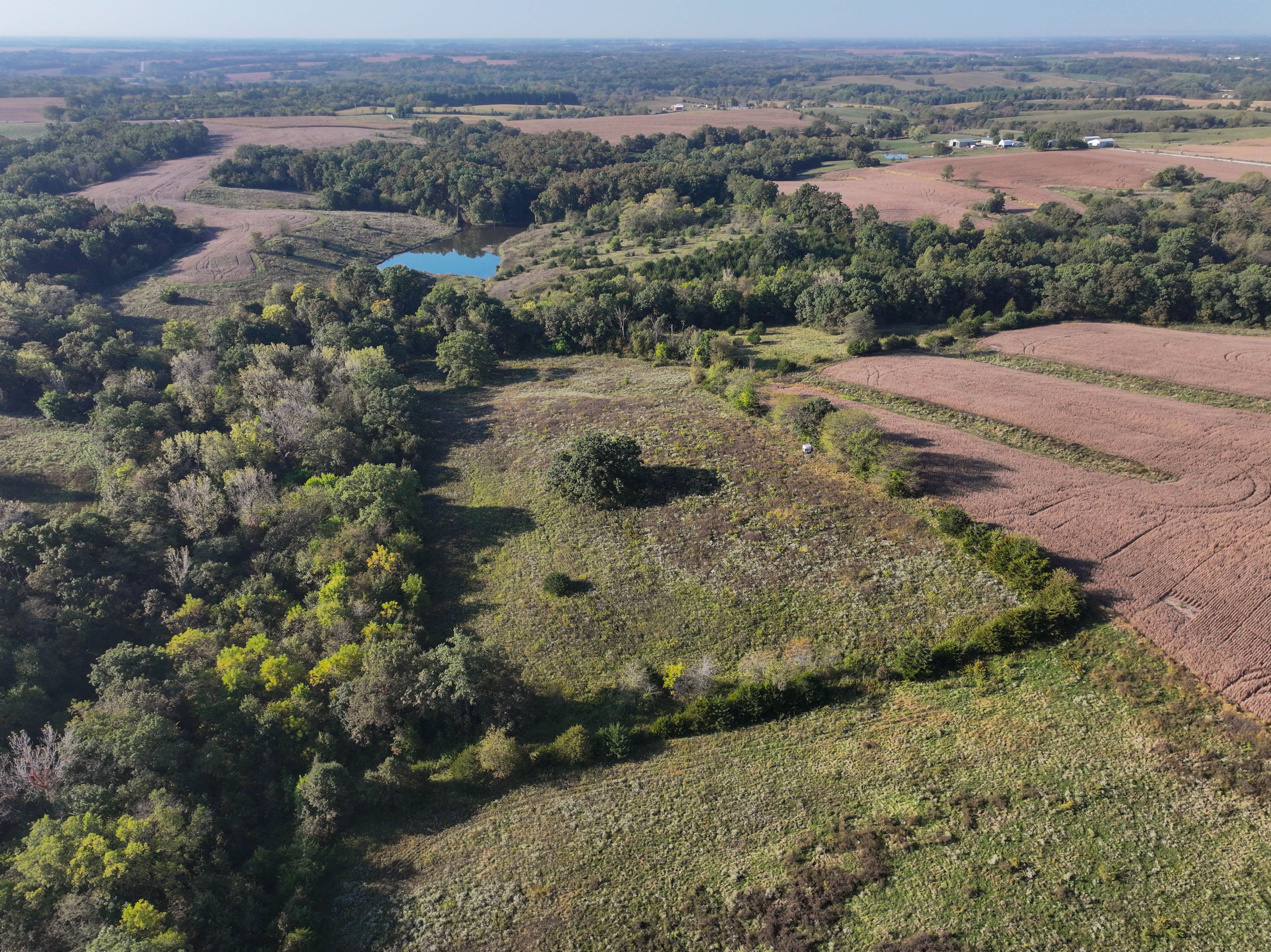 Listing Photo: 18661-DJI_20251003091328_0149_D