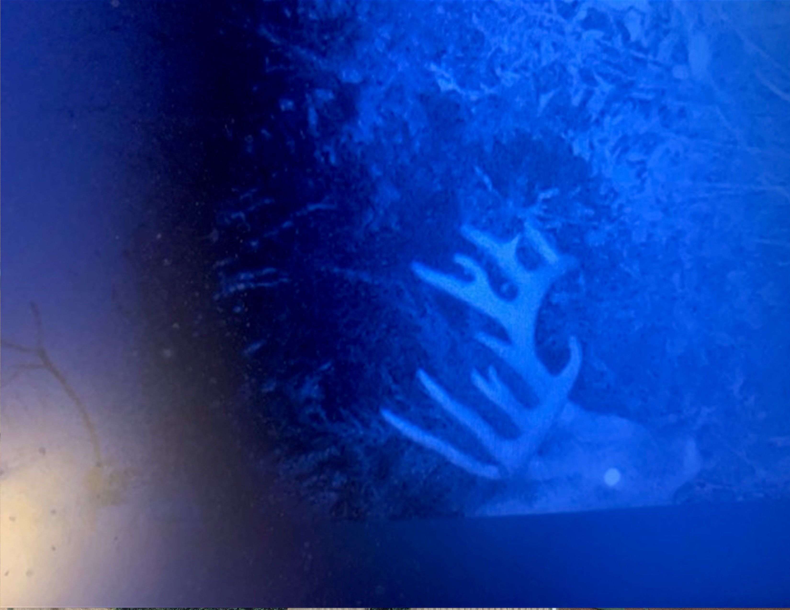 Listing Photo: 18661-IMG_7083