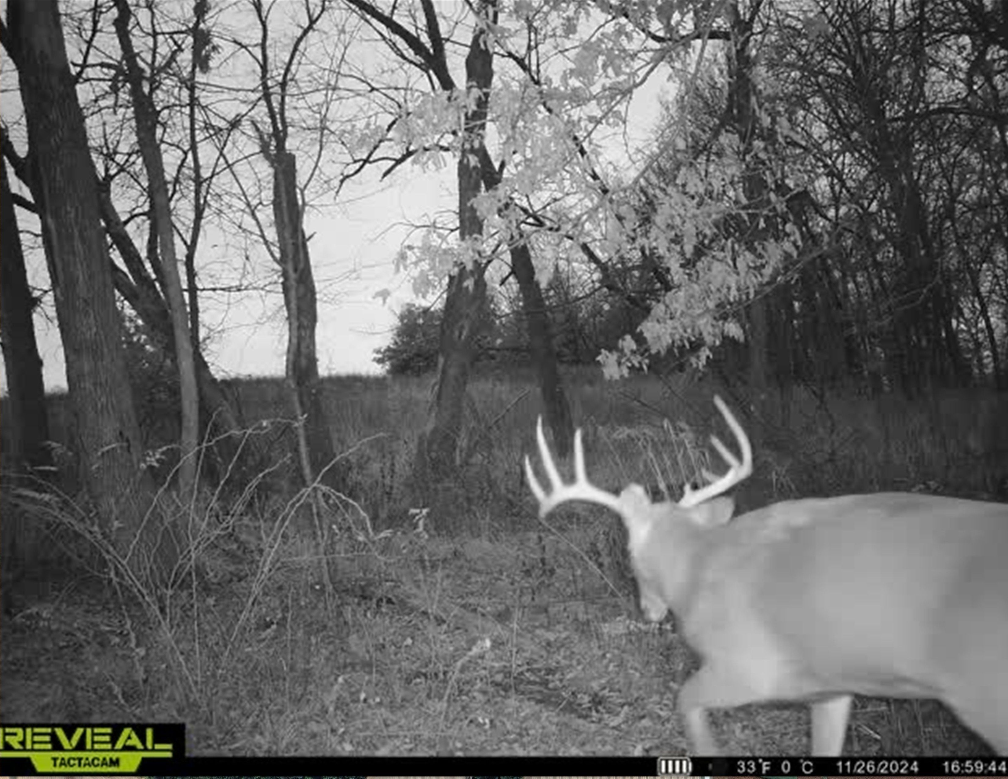 Listing Photo: 18661-IMG_8526