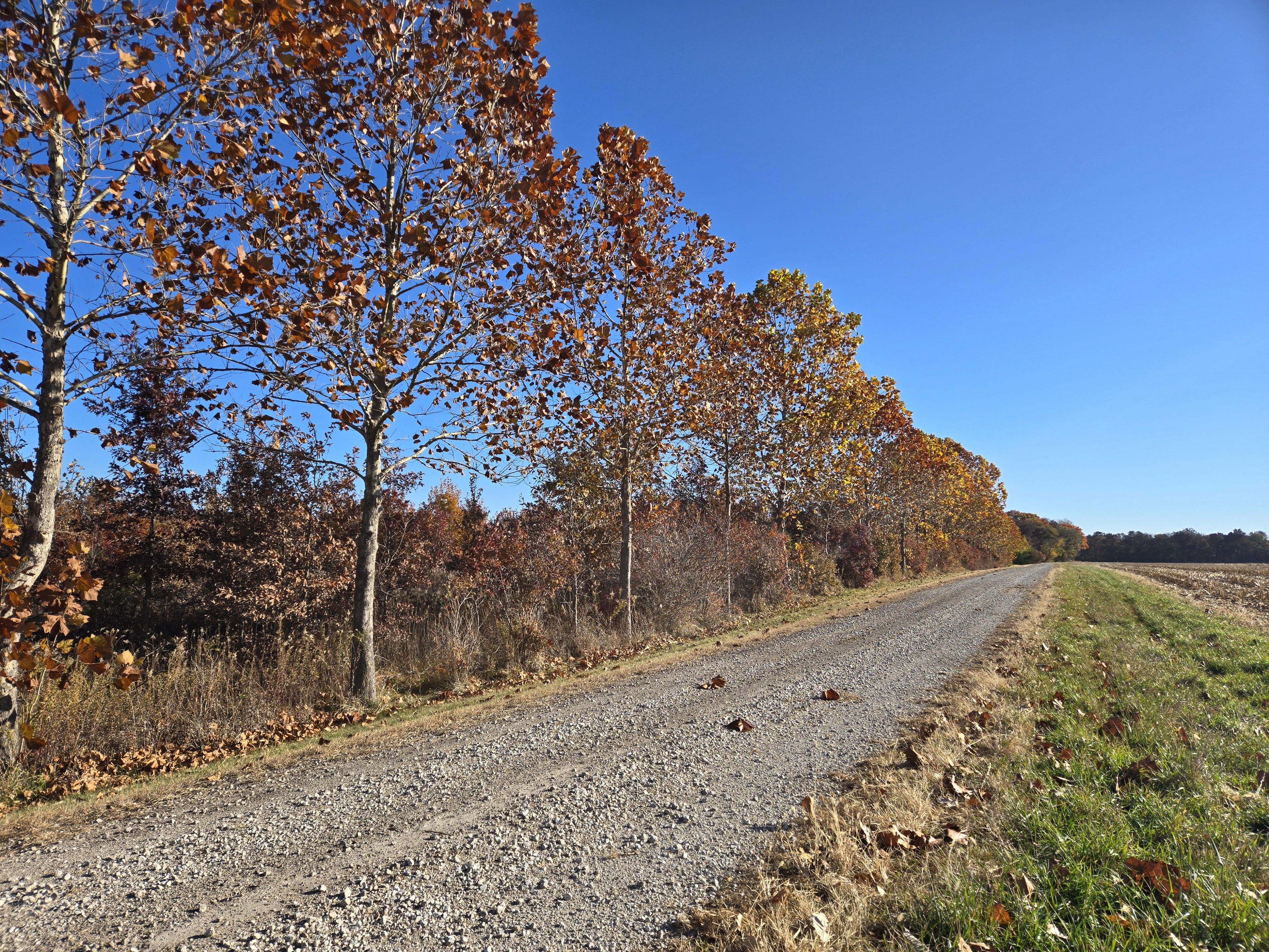 Listing Photo: 20251107_090954