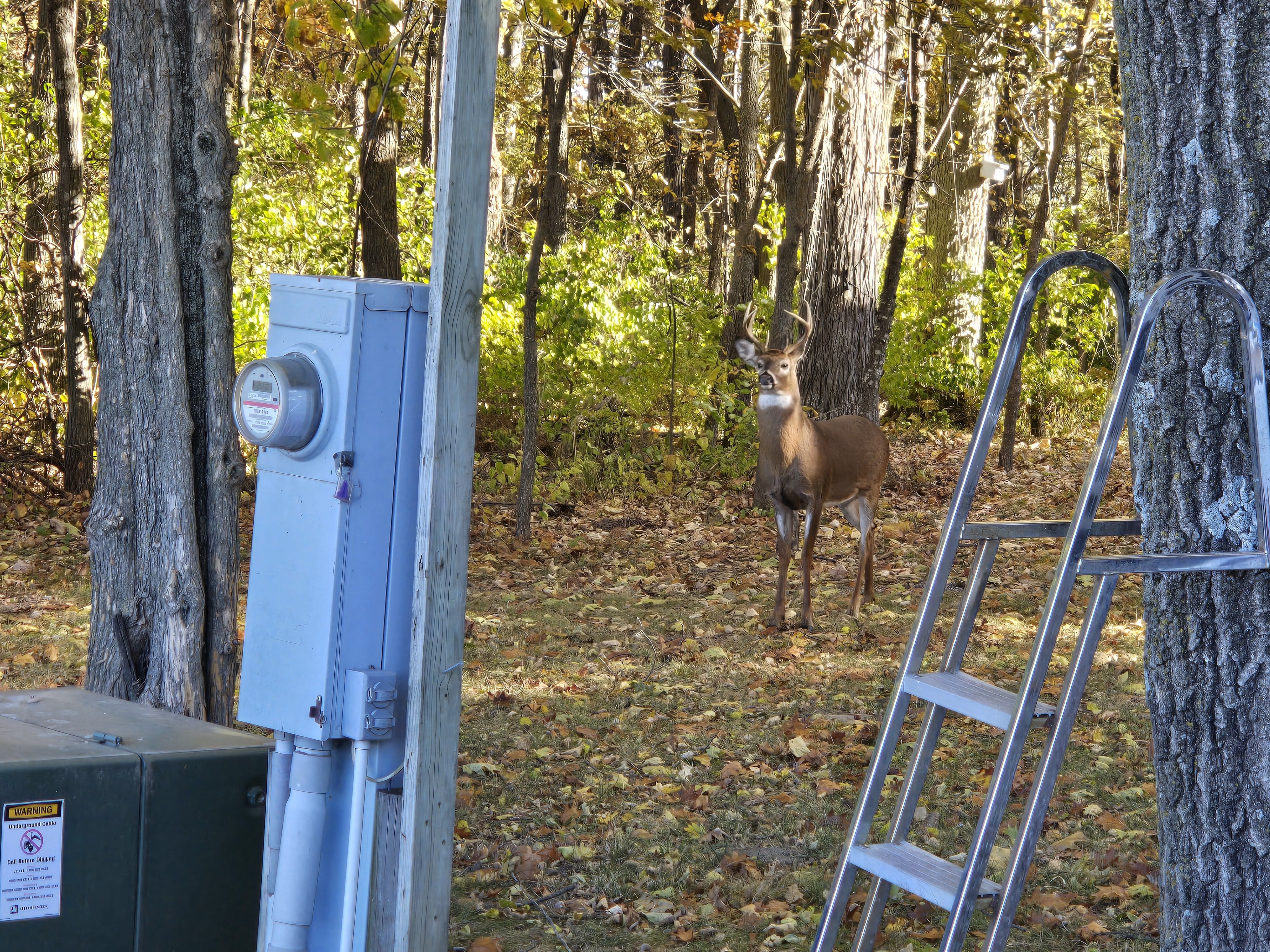 Listing Photo: 20251107_091159