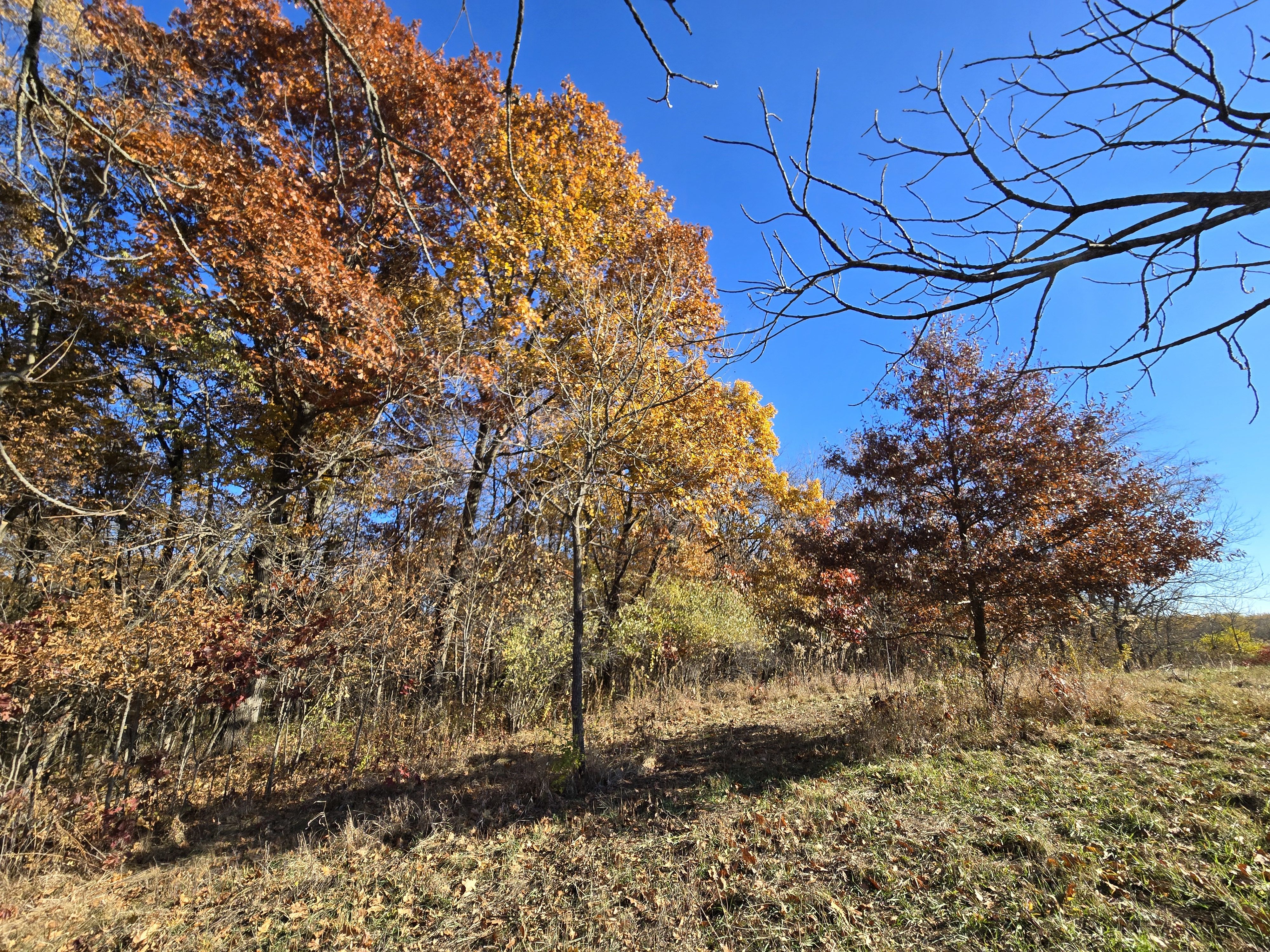 Listing Photo: 20251107_093217