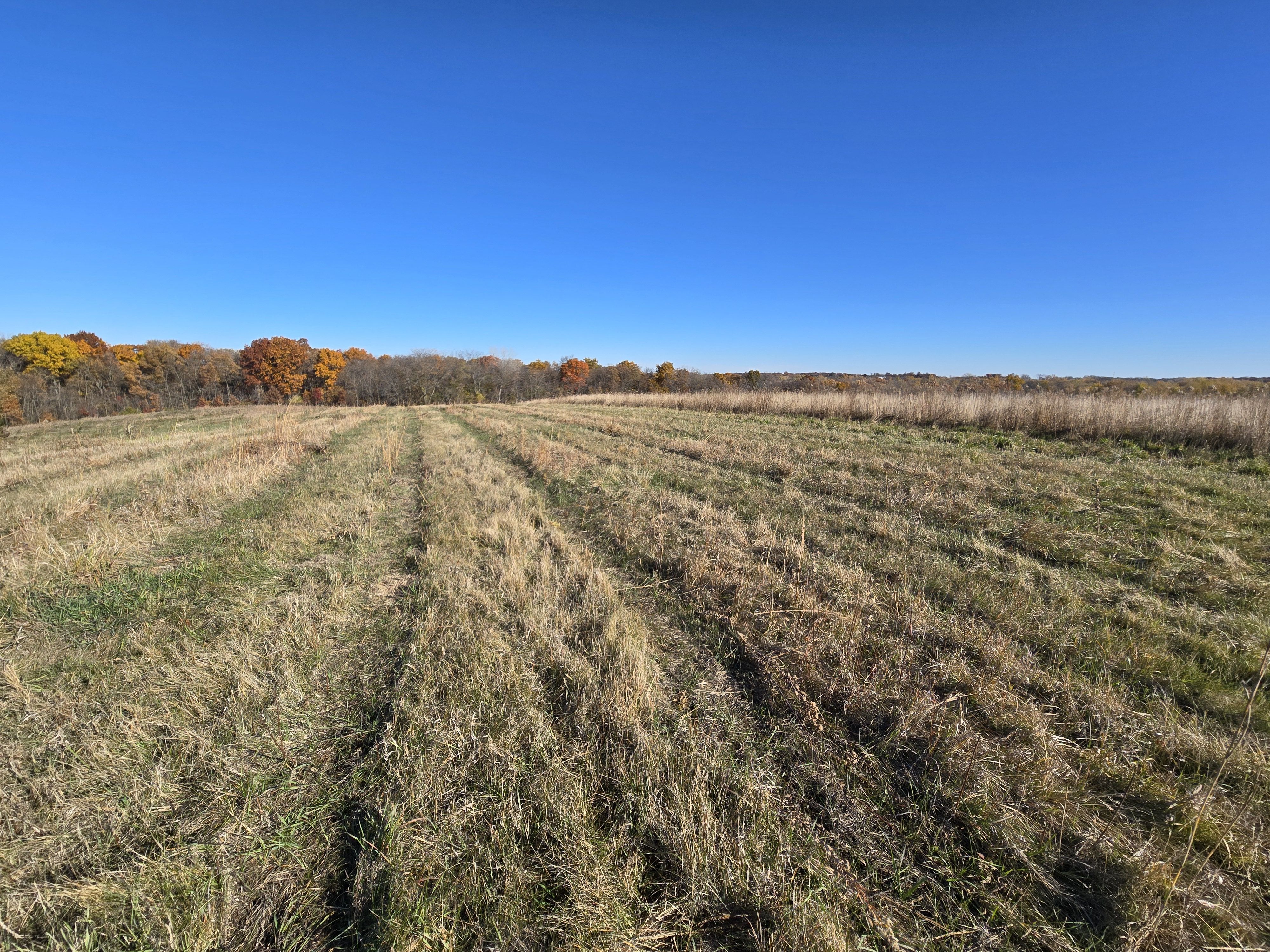 Listing Photo: 20251107_093540