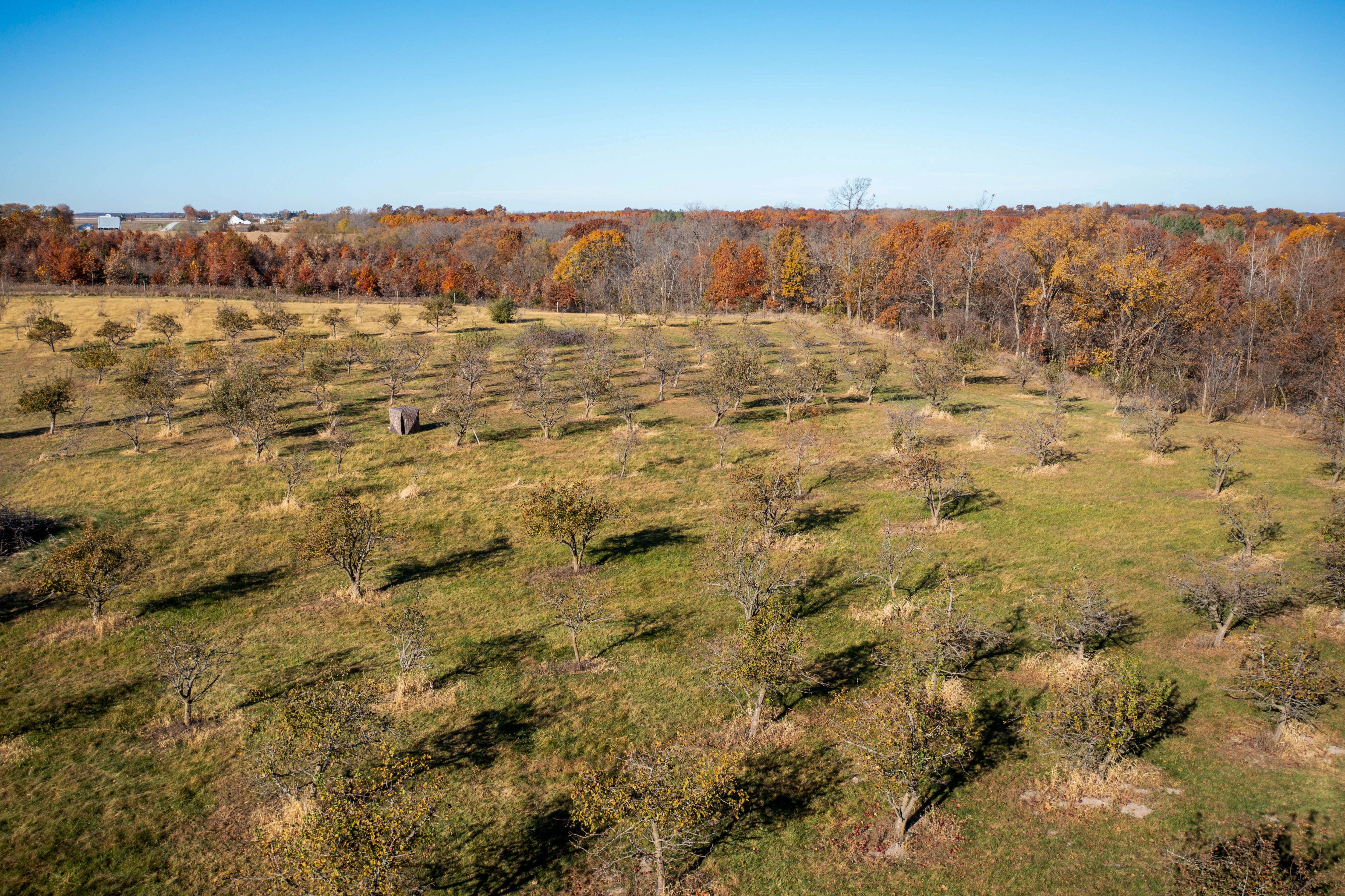 Listing Photo: DJI_0923