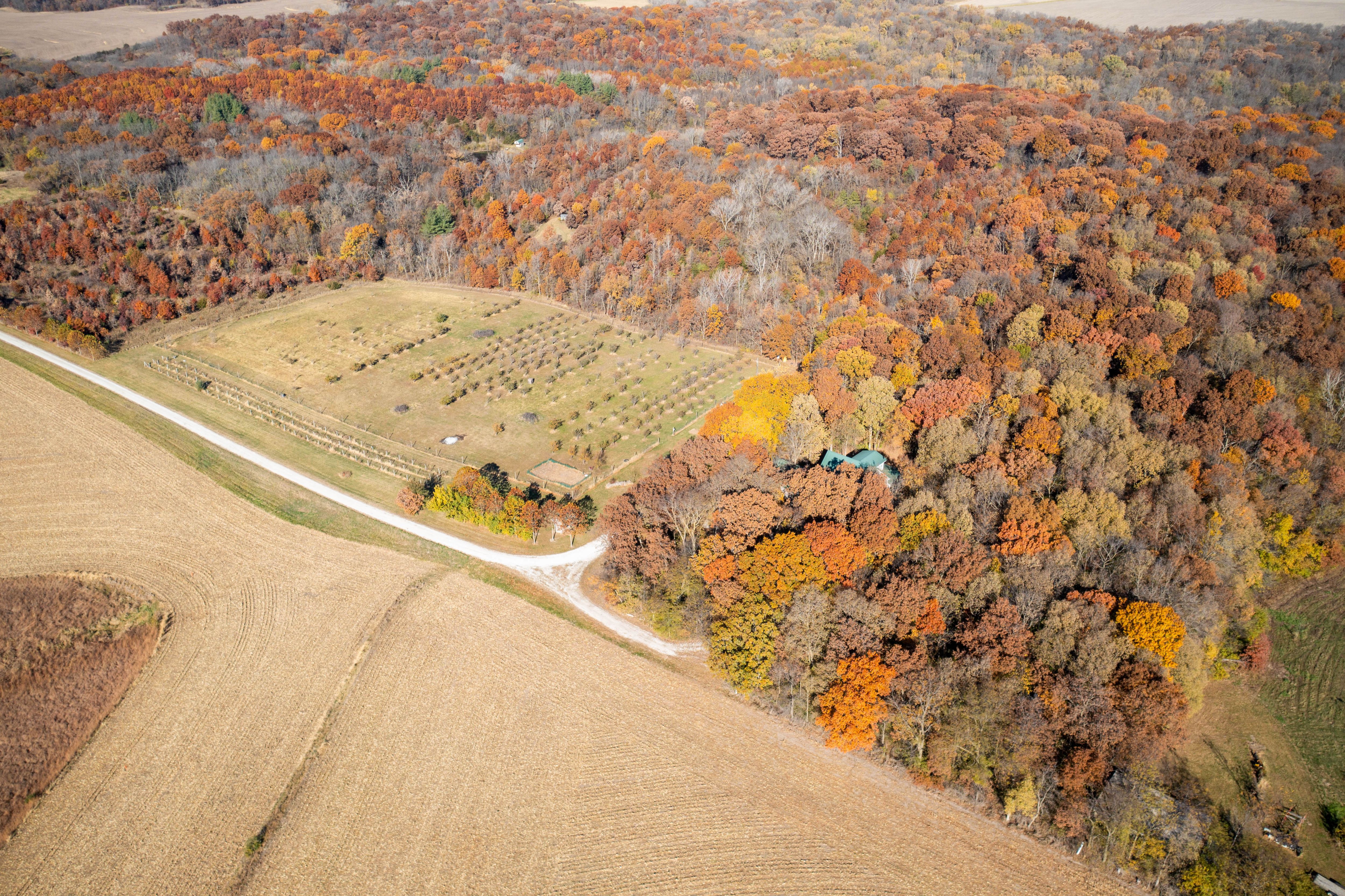 Listing Photo: DJI_0962