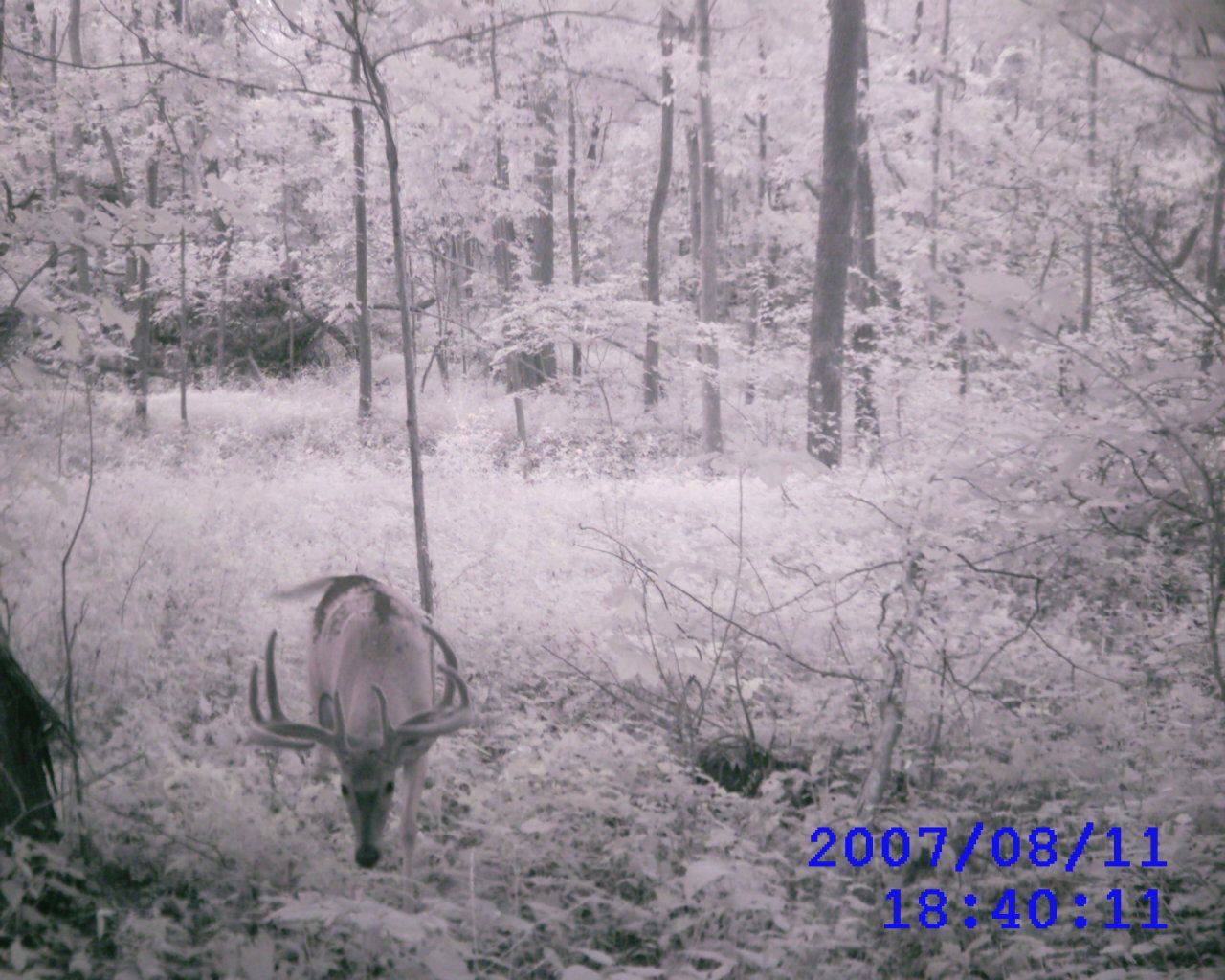 Listing Photo: DSC_0002