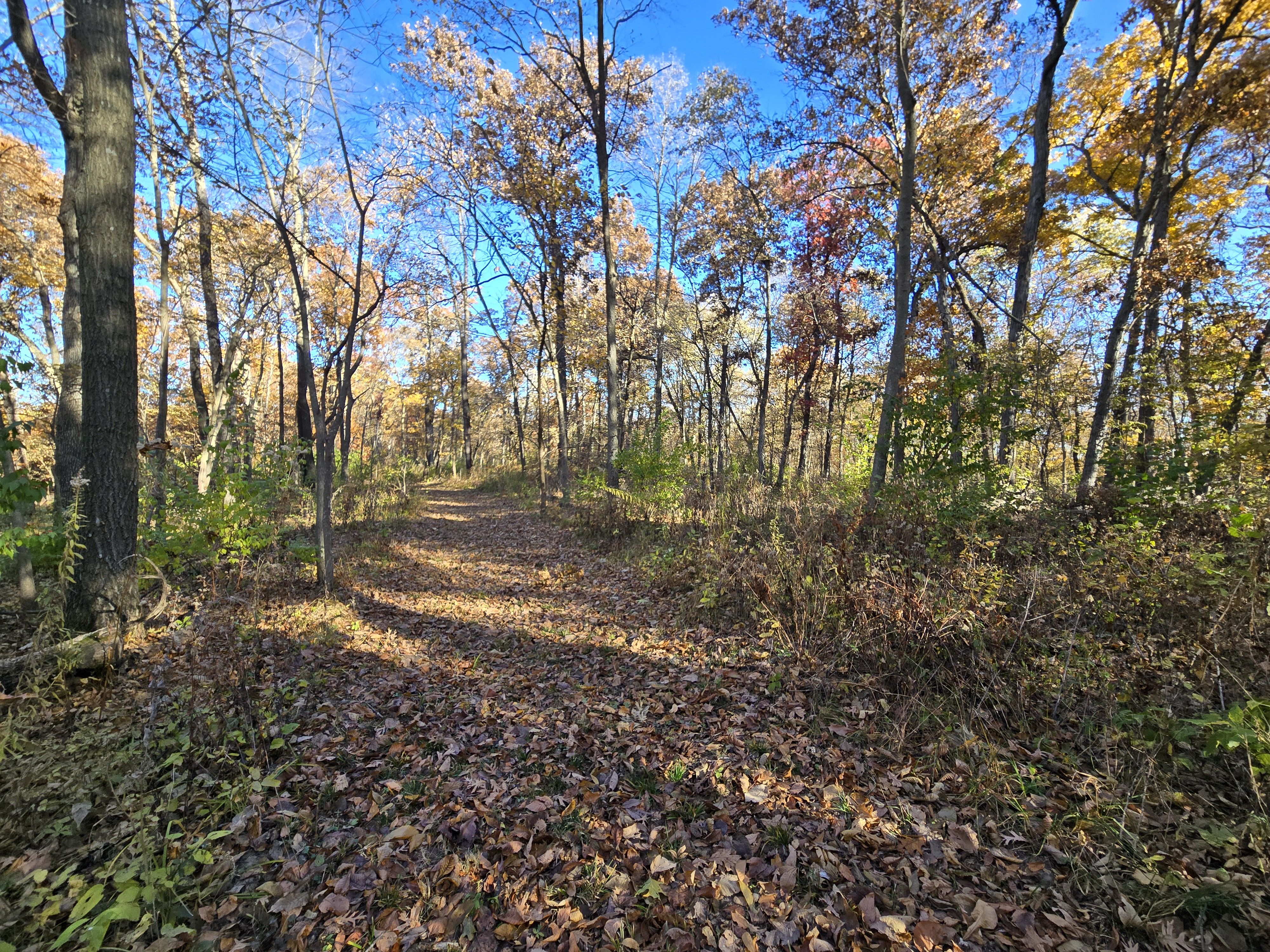 Listing Photo: 20251107_092209