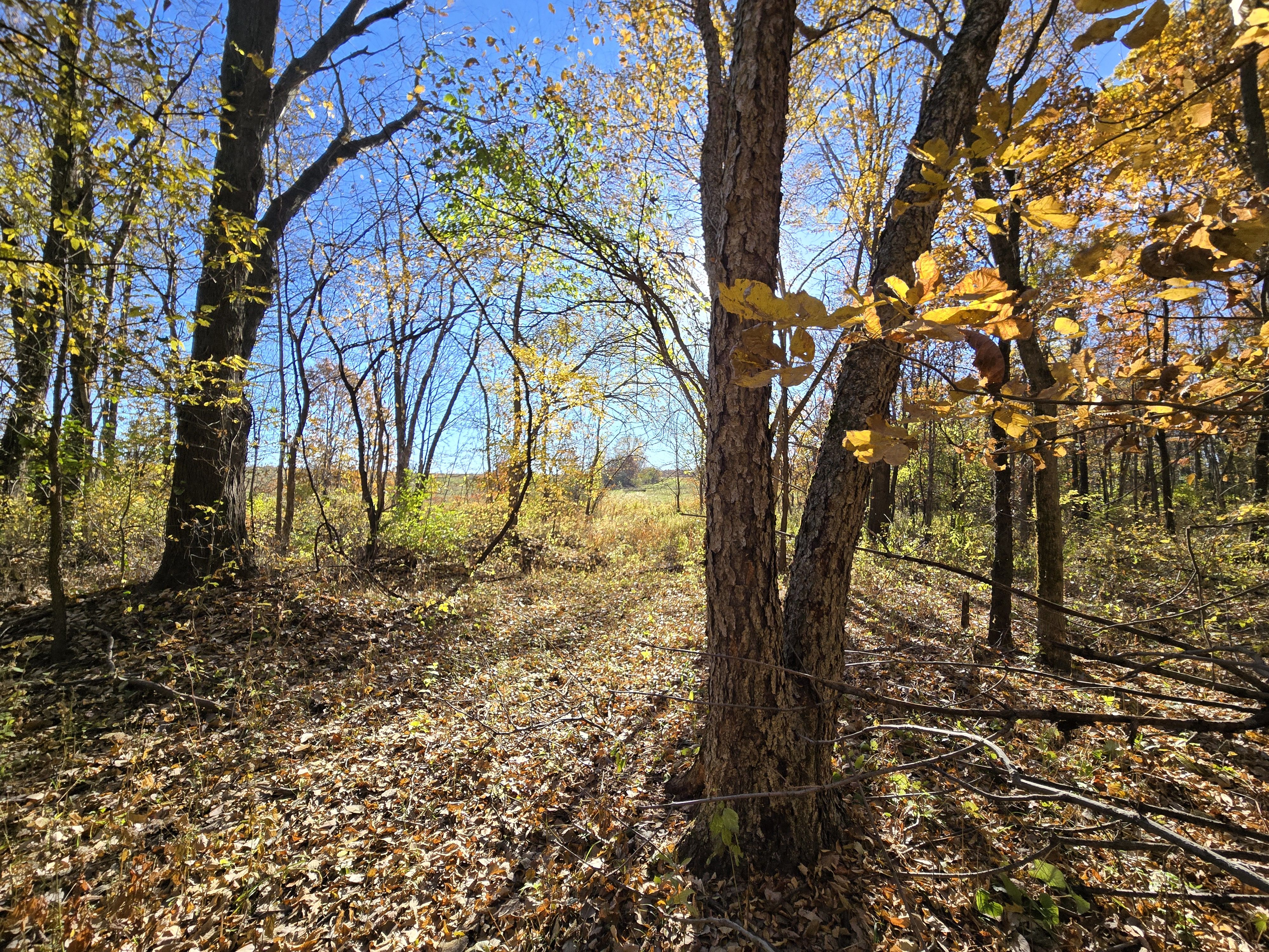 Listing Photo: 20251107_092820