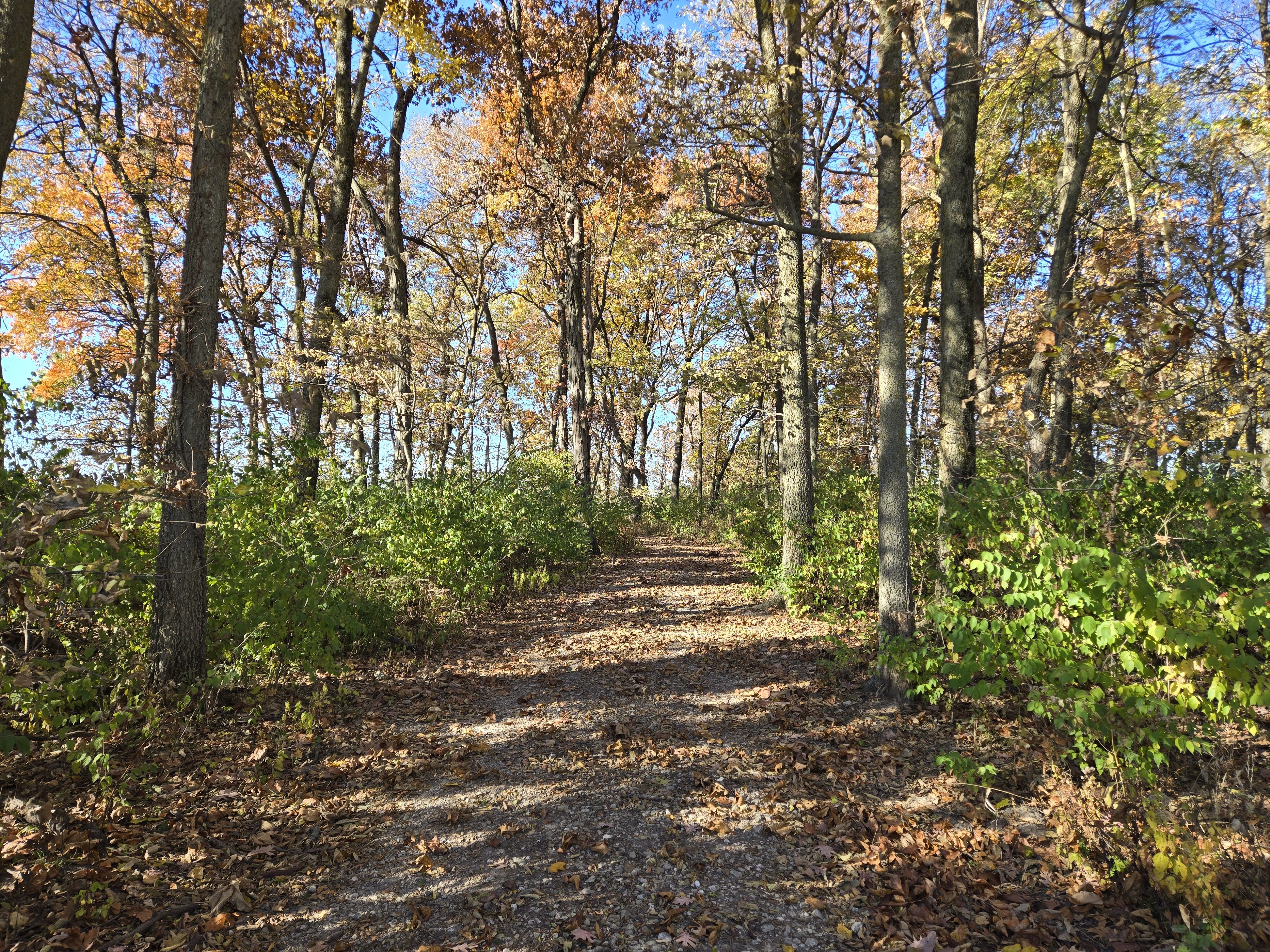 Listing Photo: 20251107_093921