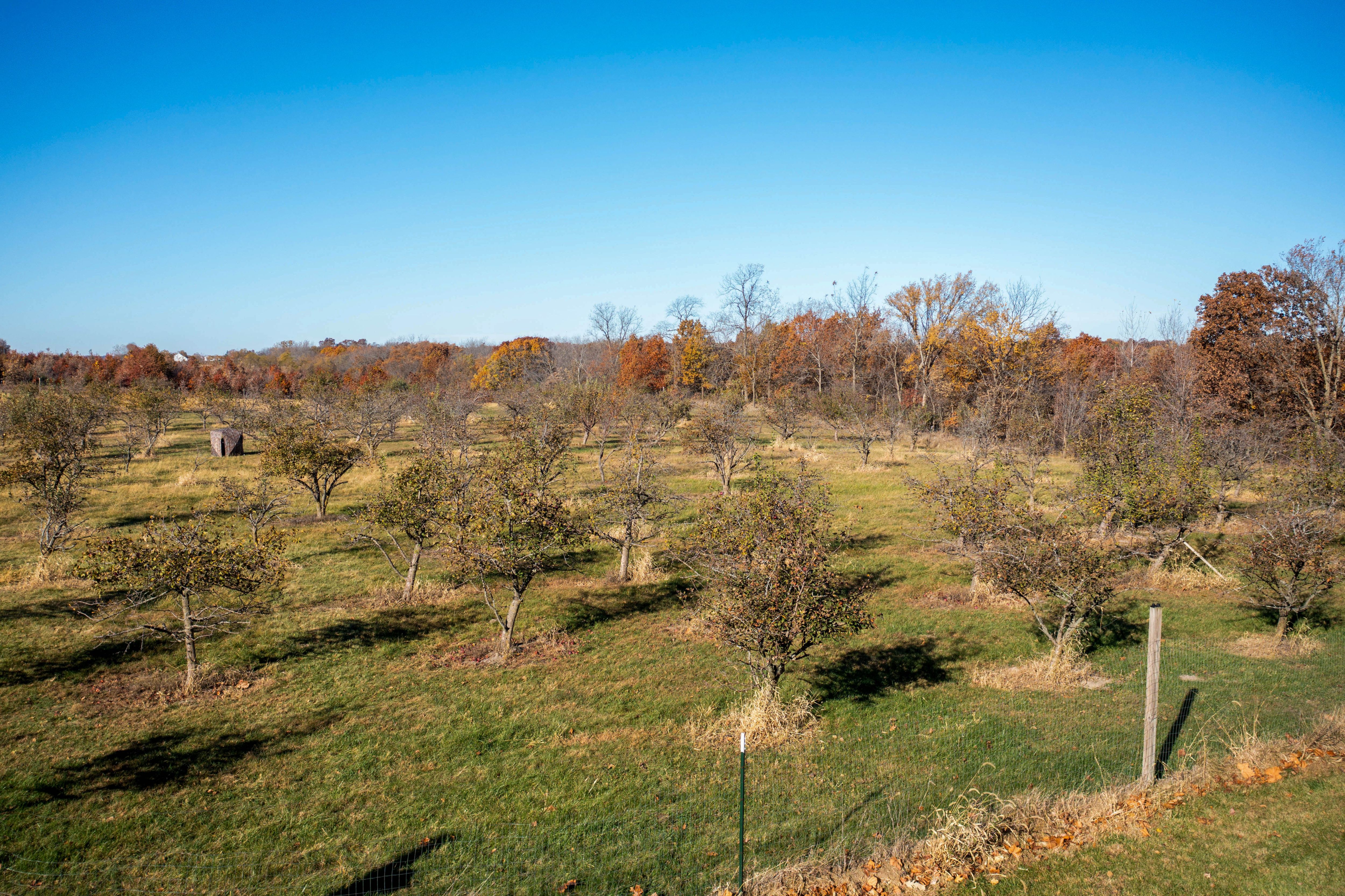 Listing Photo: DJI_0922