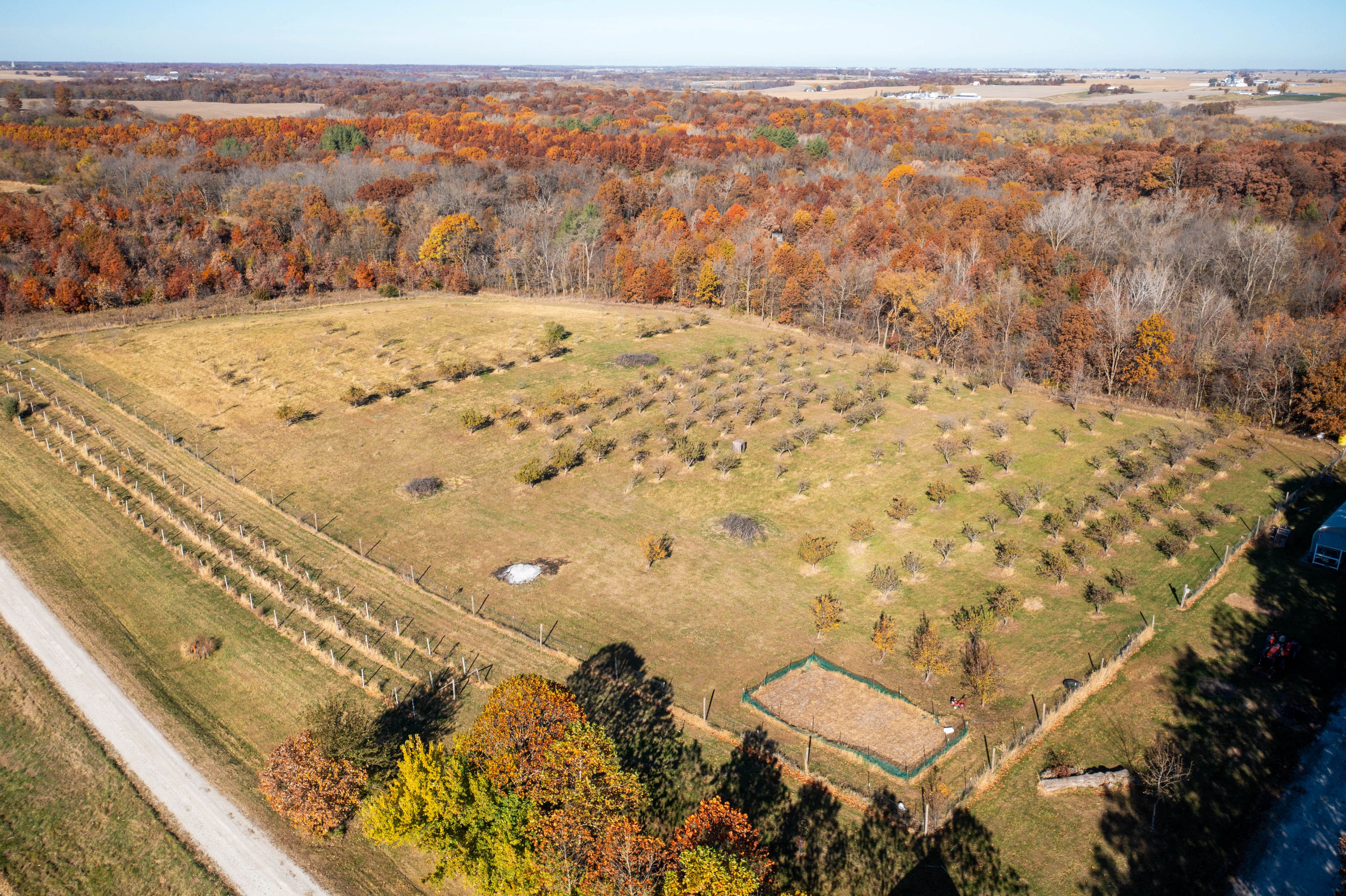 Listing Photo: DJI_0925