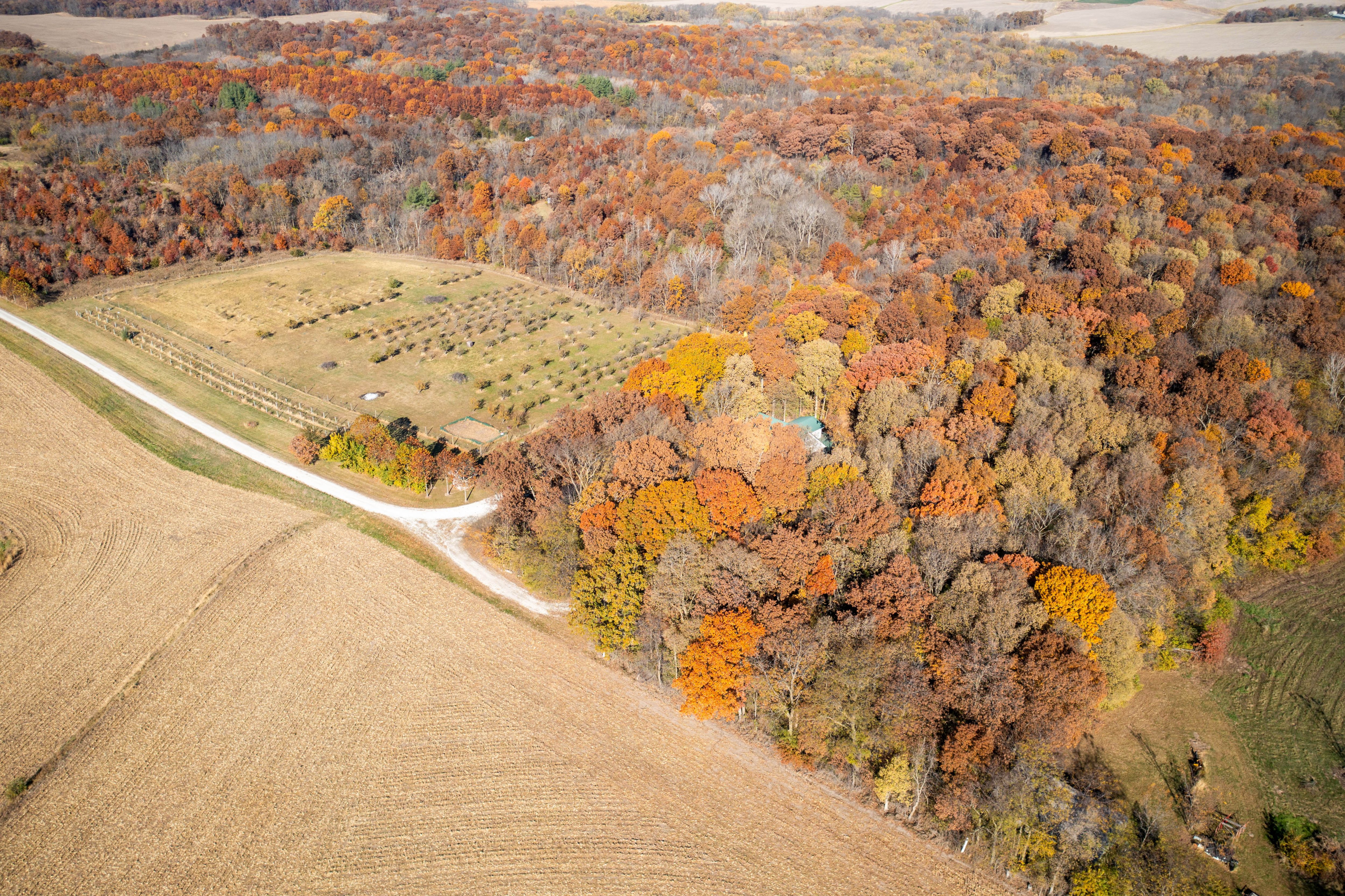 Listing Photo: DJI_0928