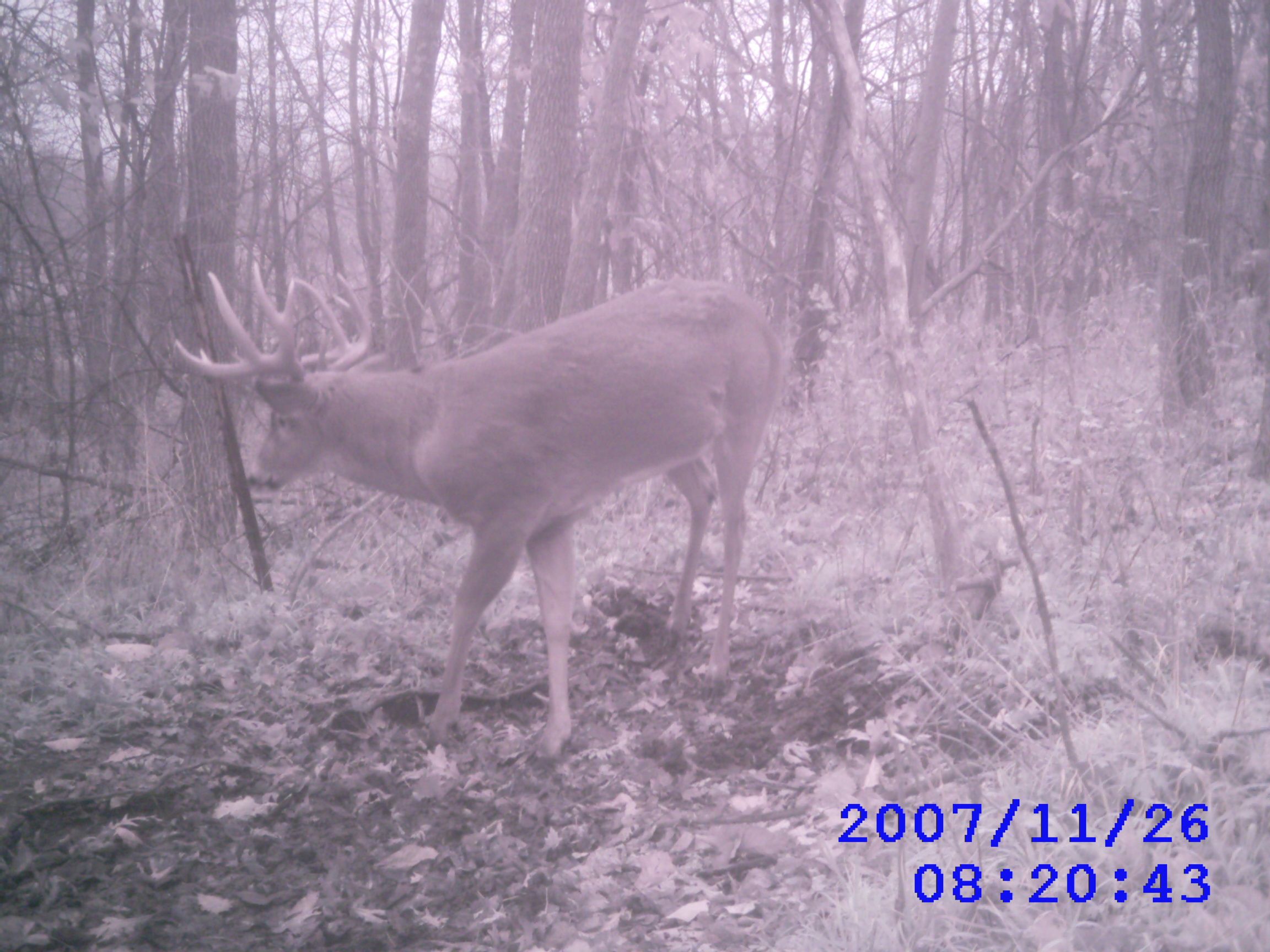 Listing Photo: DSC_0118