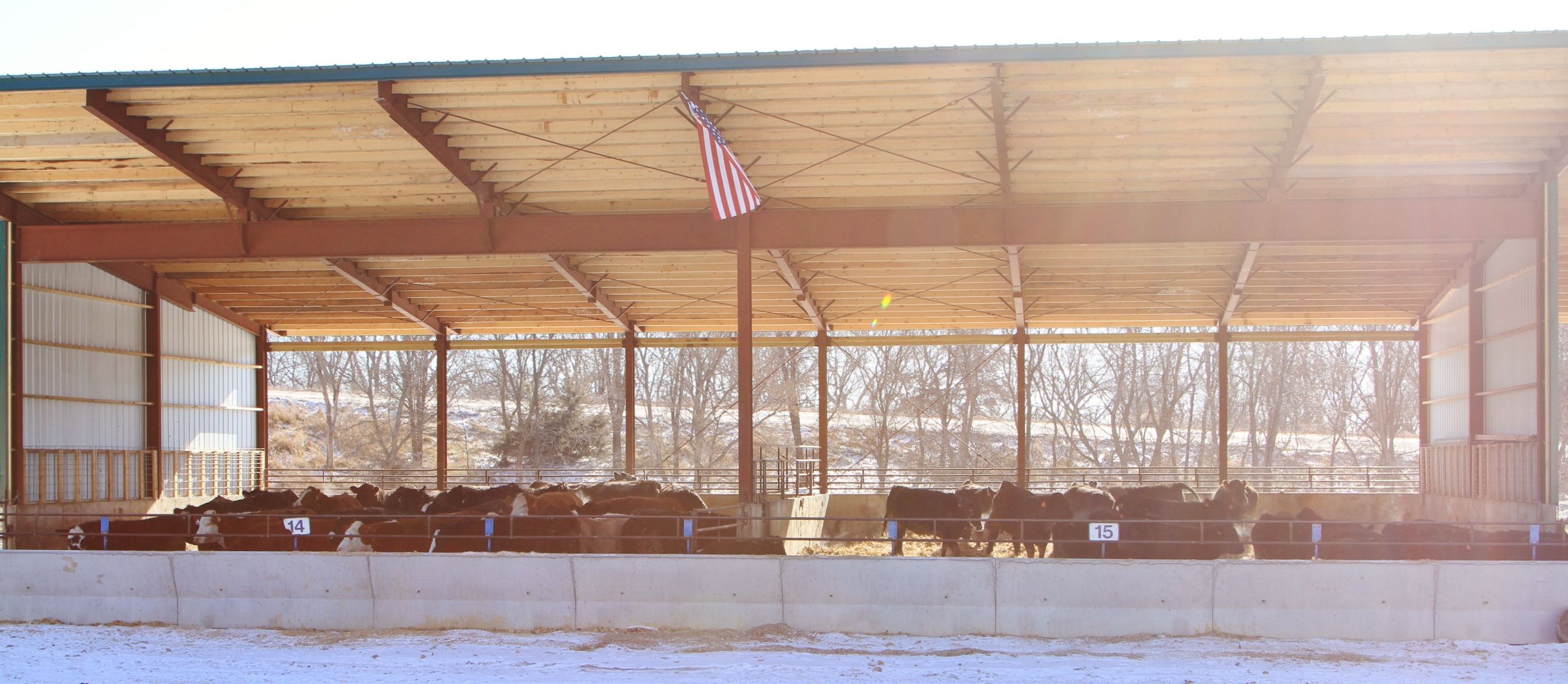 Listing Photo: IMG_0035