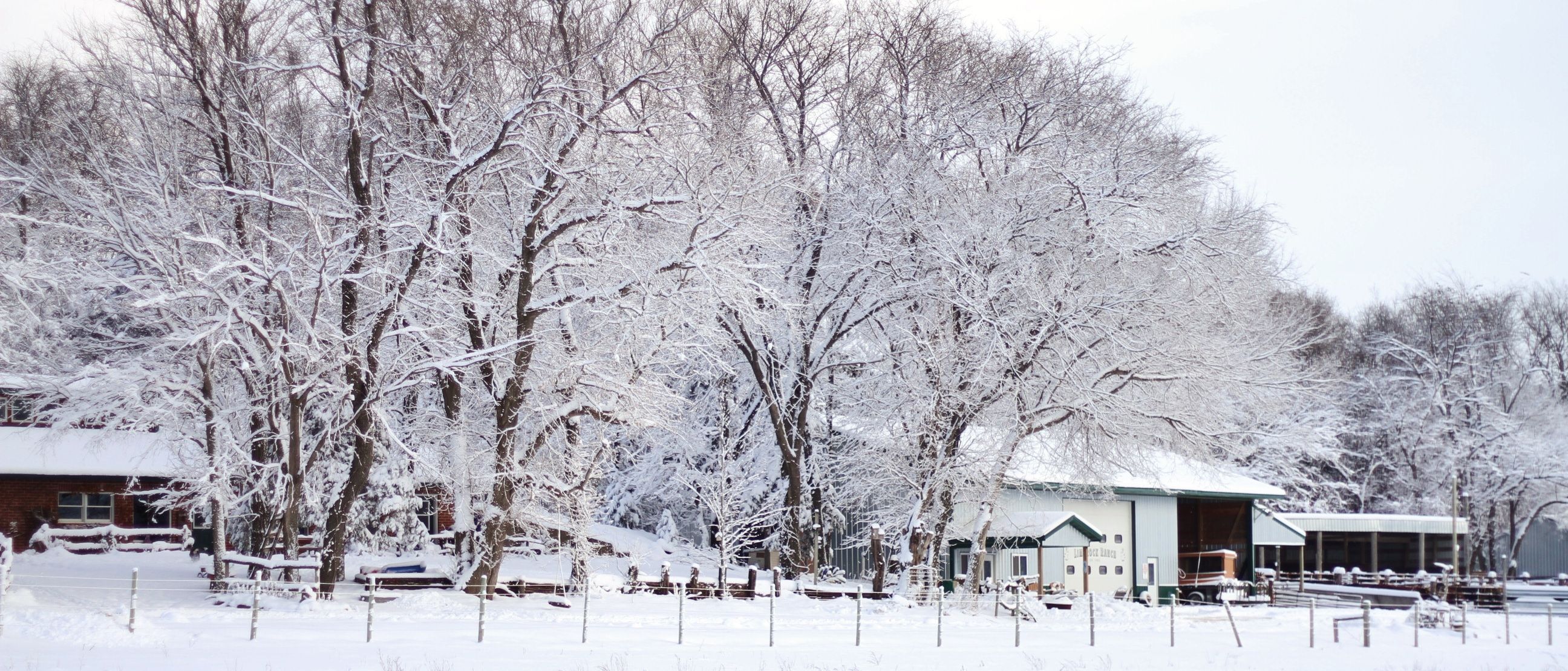 Listing Photo: IMG_1946