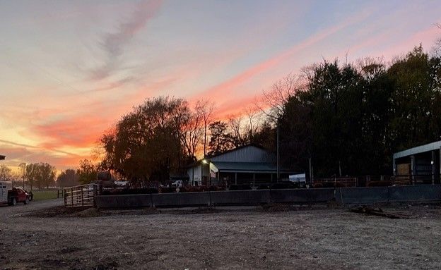 Listing Photo: IMG_9297