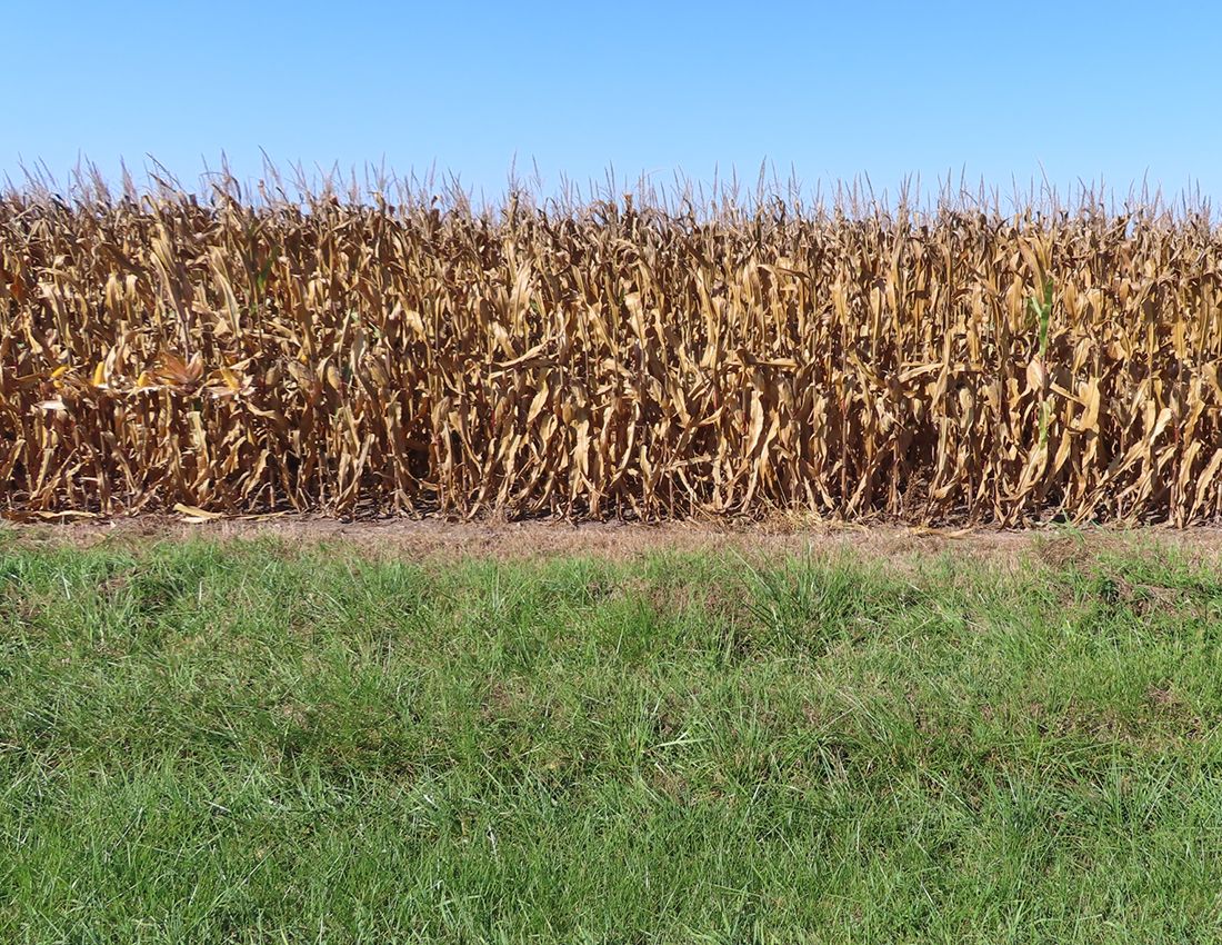 Listing Photo: Kania Livingston Farm