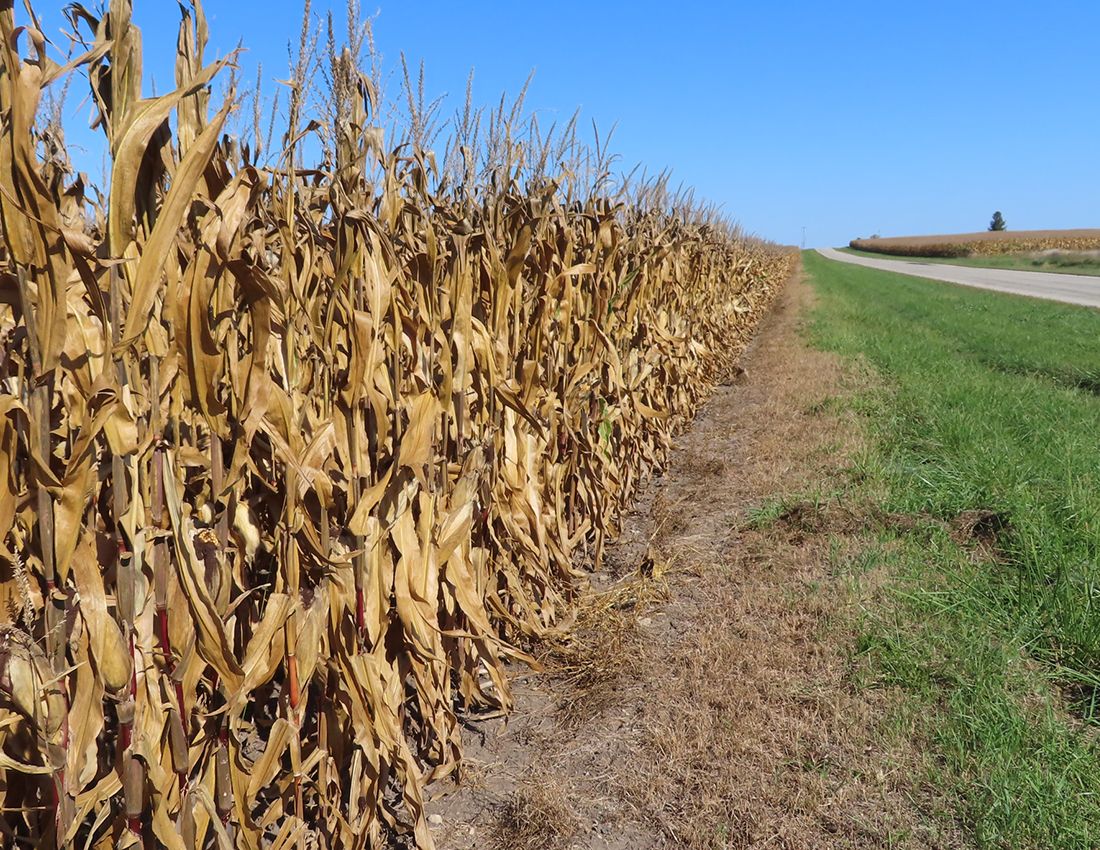 Listing Photo: Kania Livingston Farm roadside