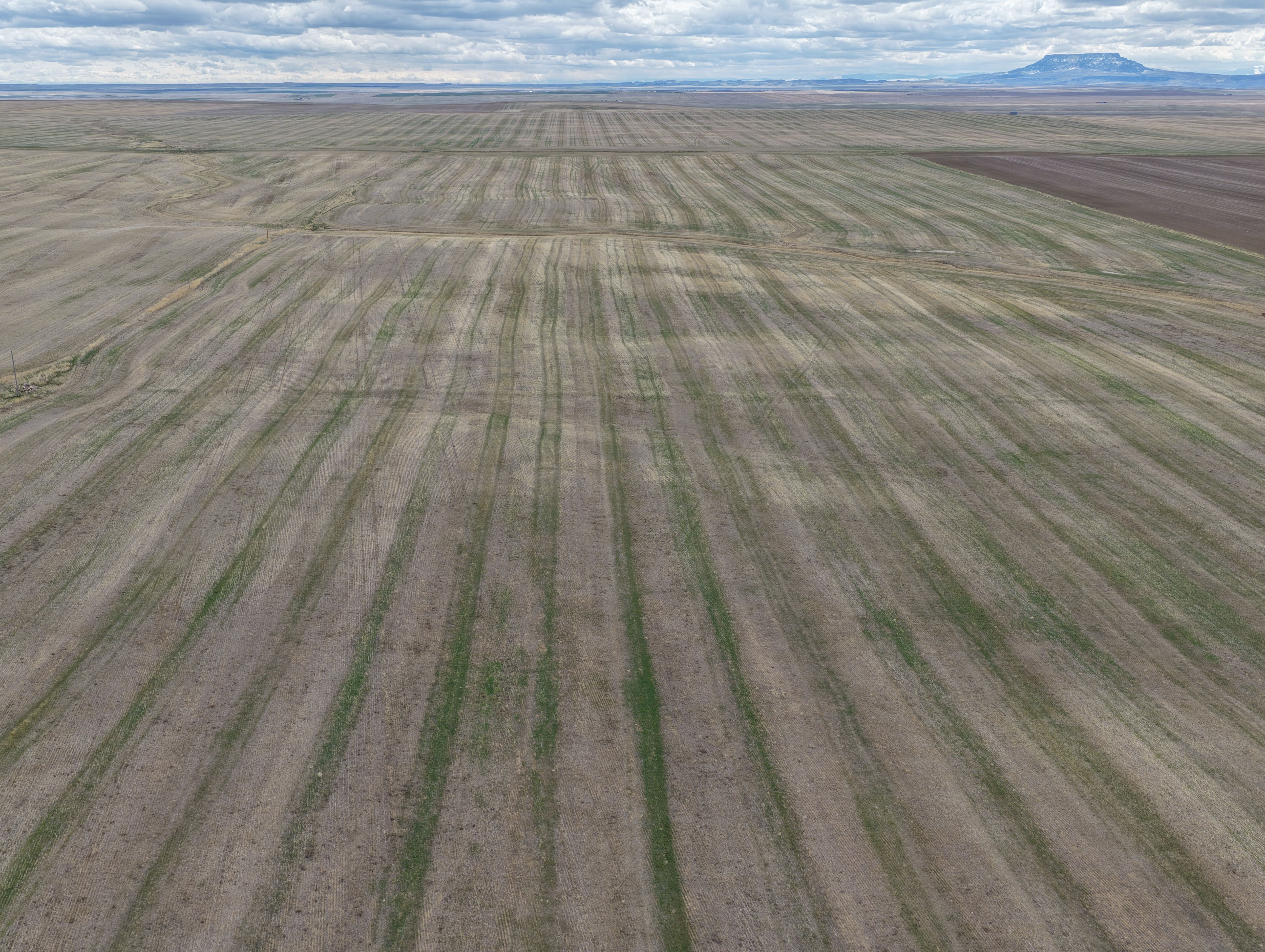 Listing Photo: Chouteau-County-Montana-Sealed-Bid-2