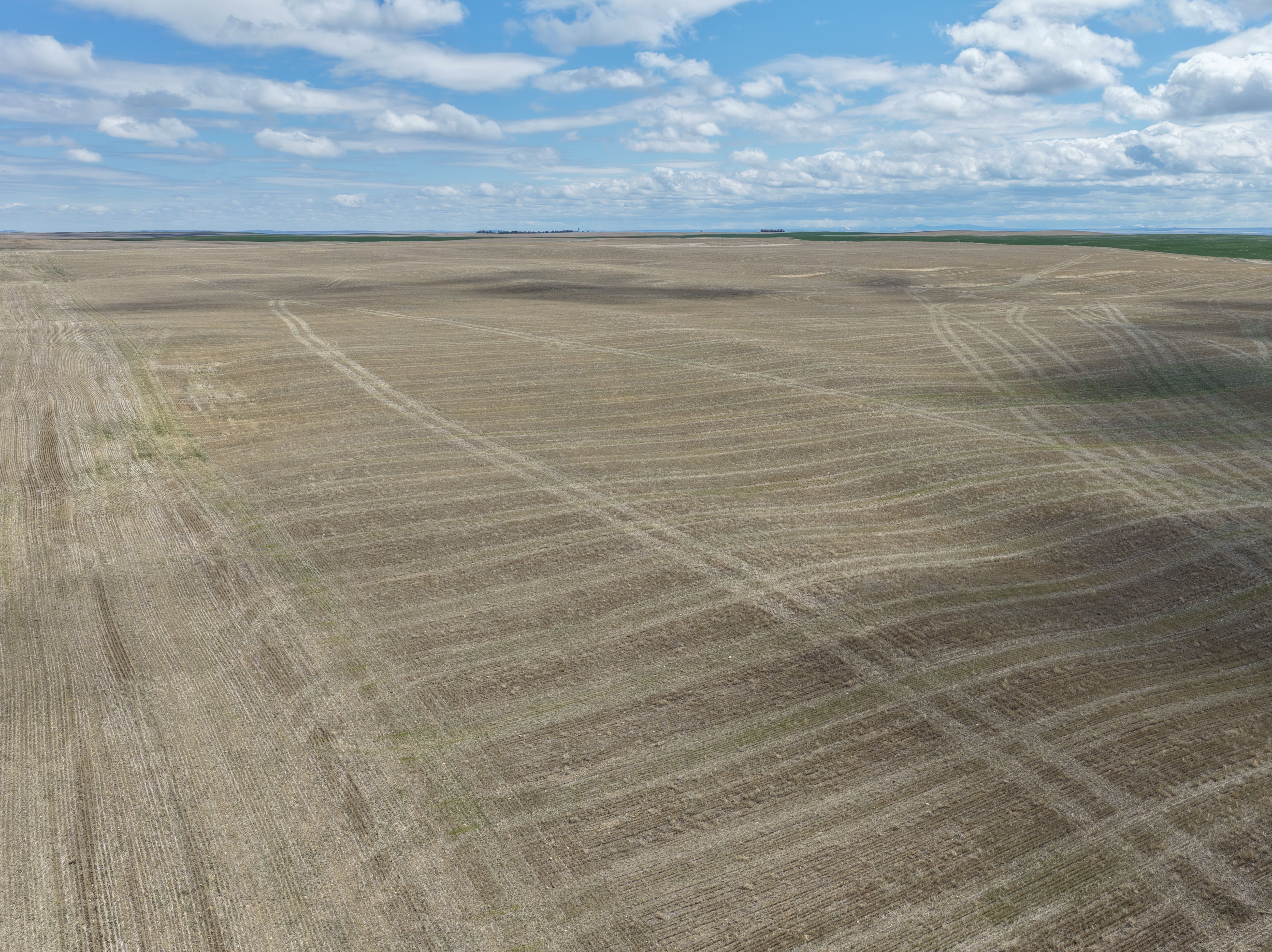 Listing Photo: Chouteau-County-Montana-Sealed-Bid-3