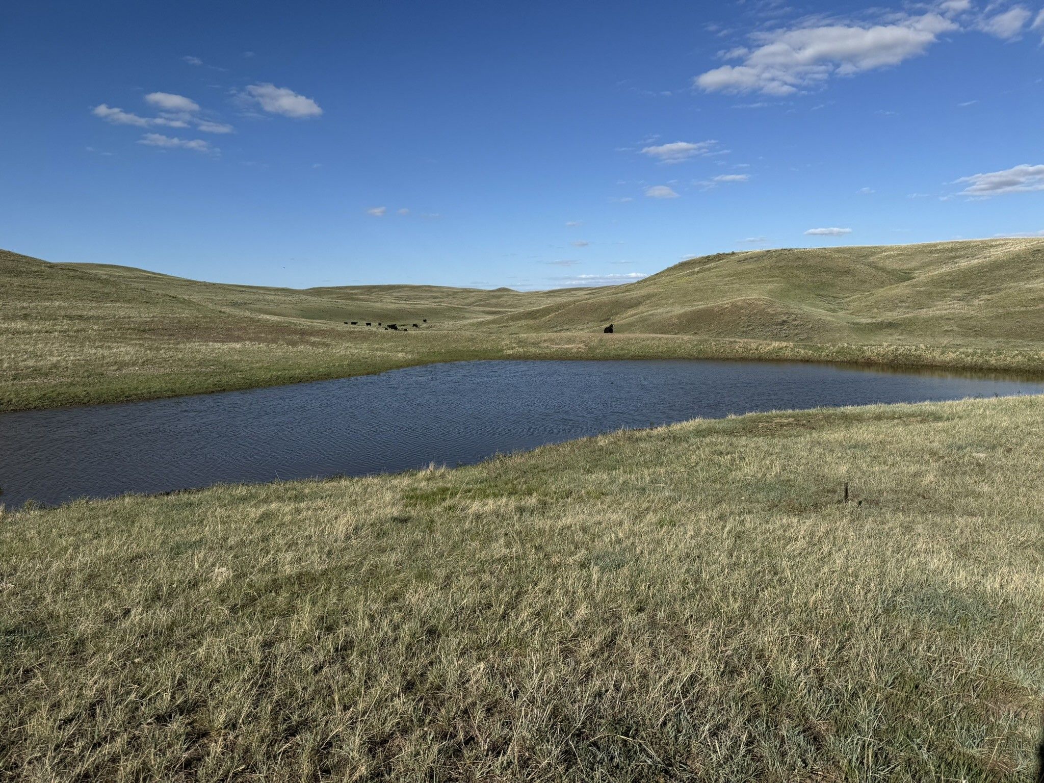 Listing Photo: Chouteau-County-Montana-Sealed-Bid-6