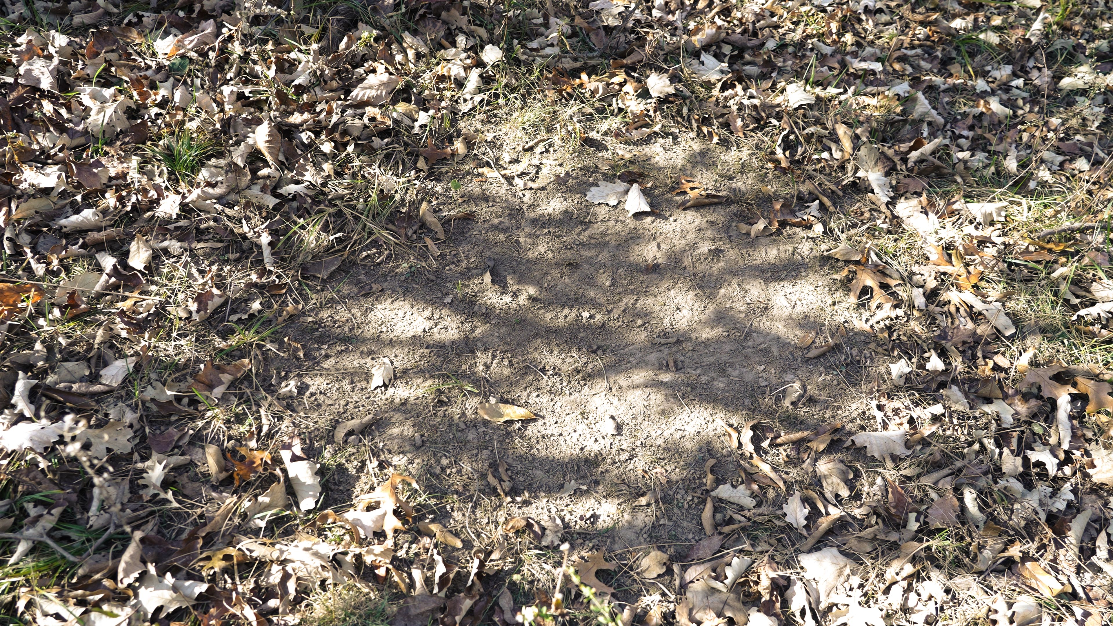 Listing Photo: C7892