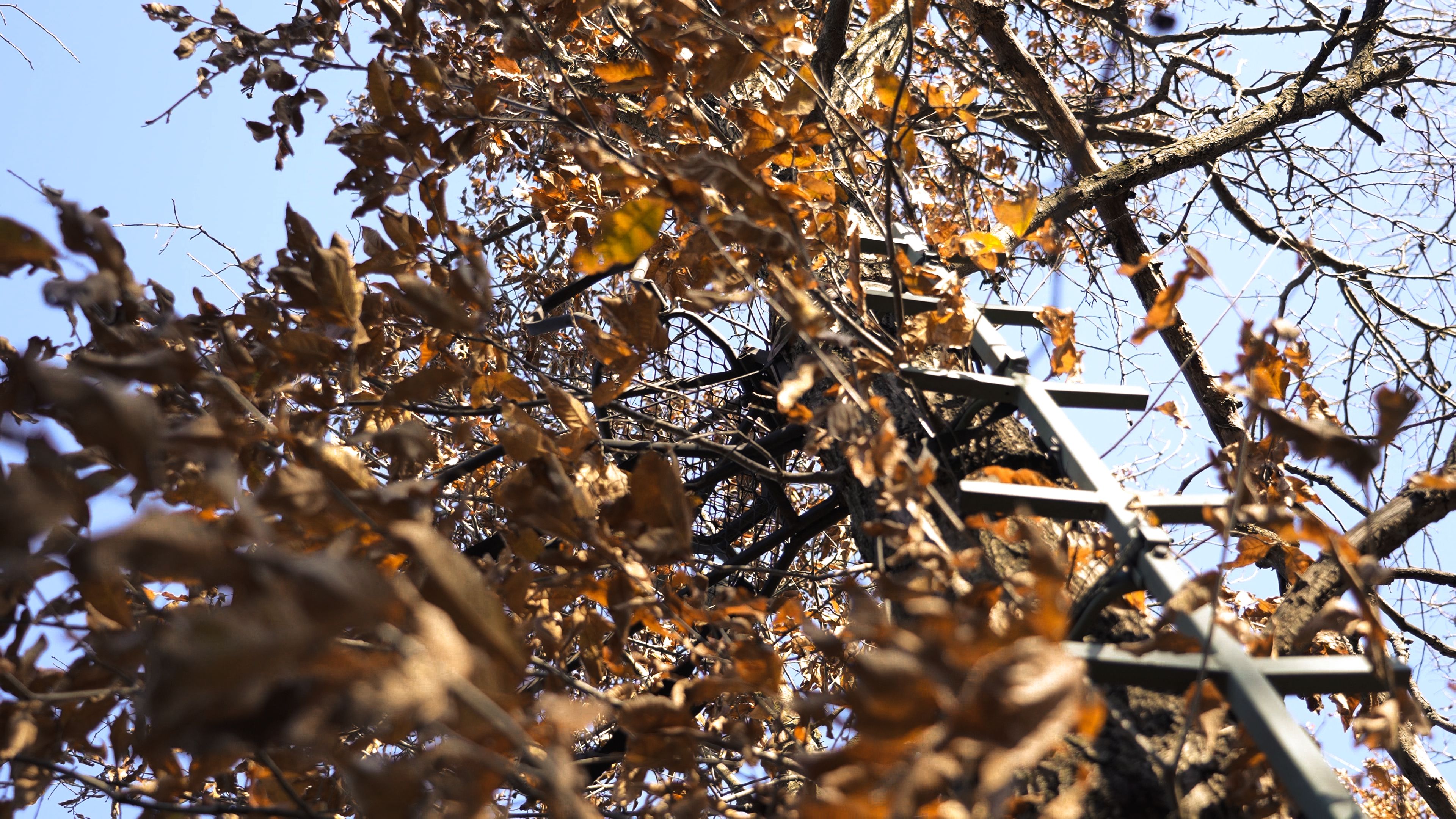 Listing Photo: C7896