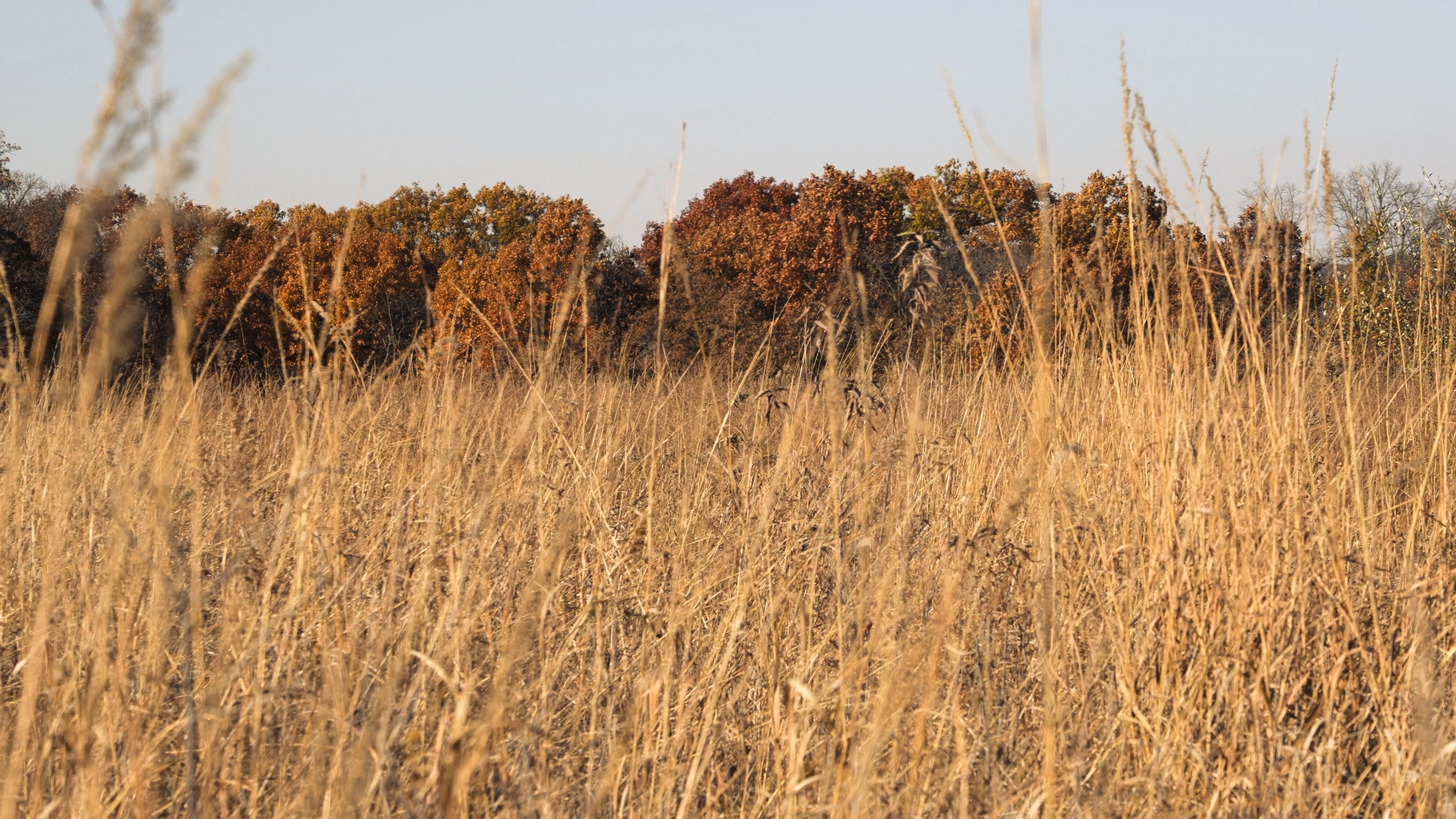 Listing Photo: C7916