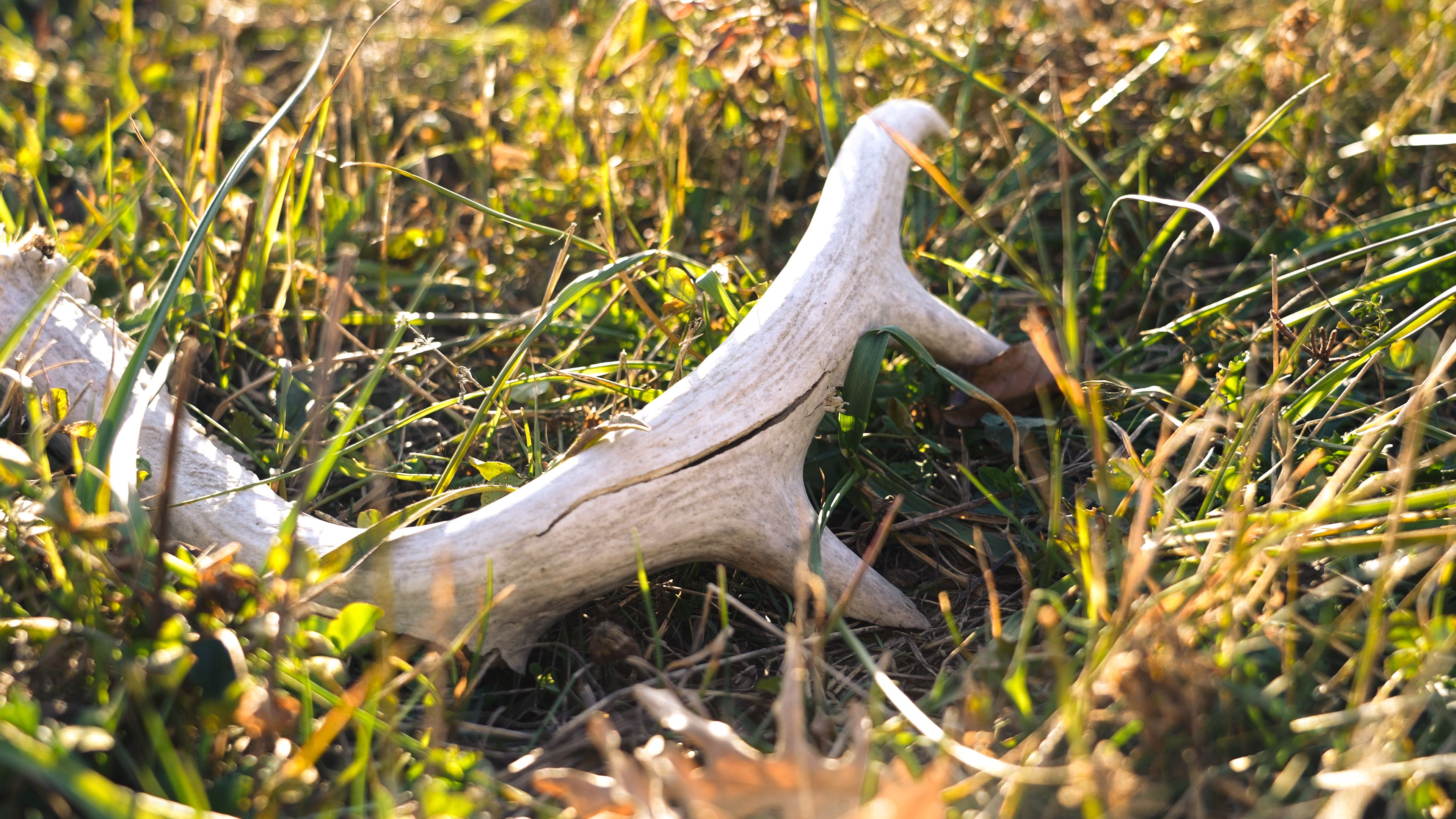 Listing Photo: C7943