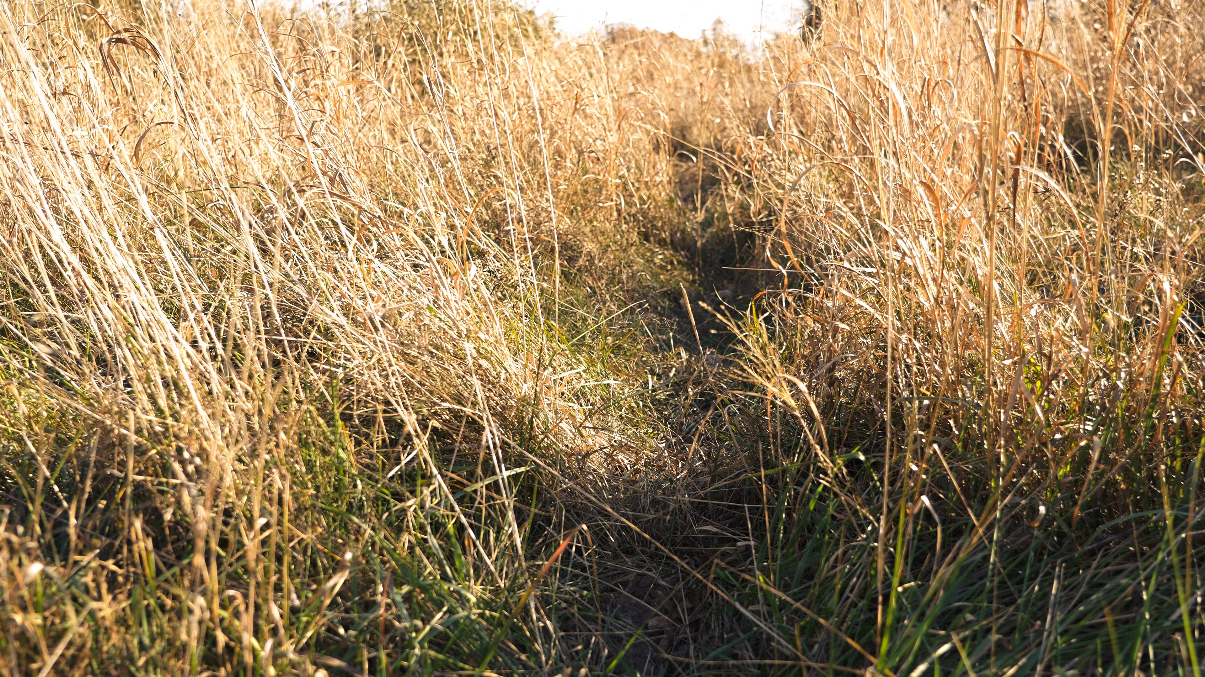 Listing Photo: C7944