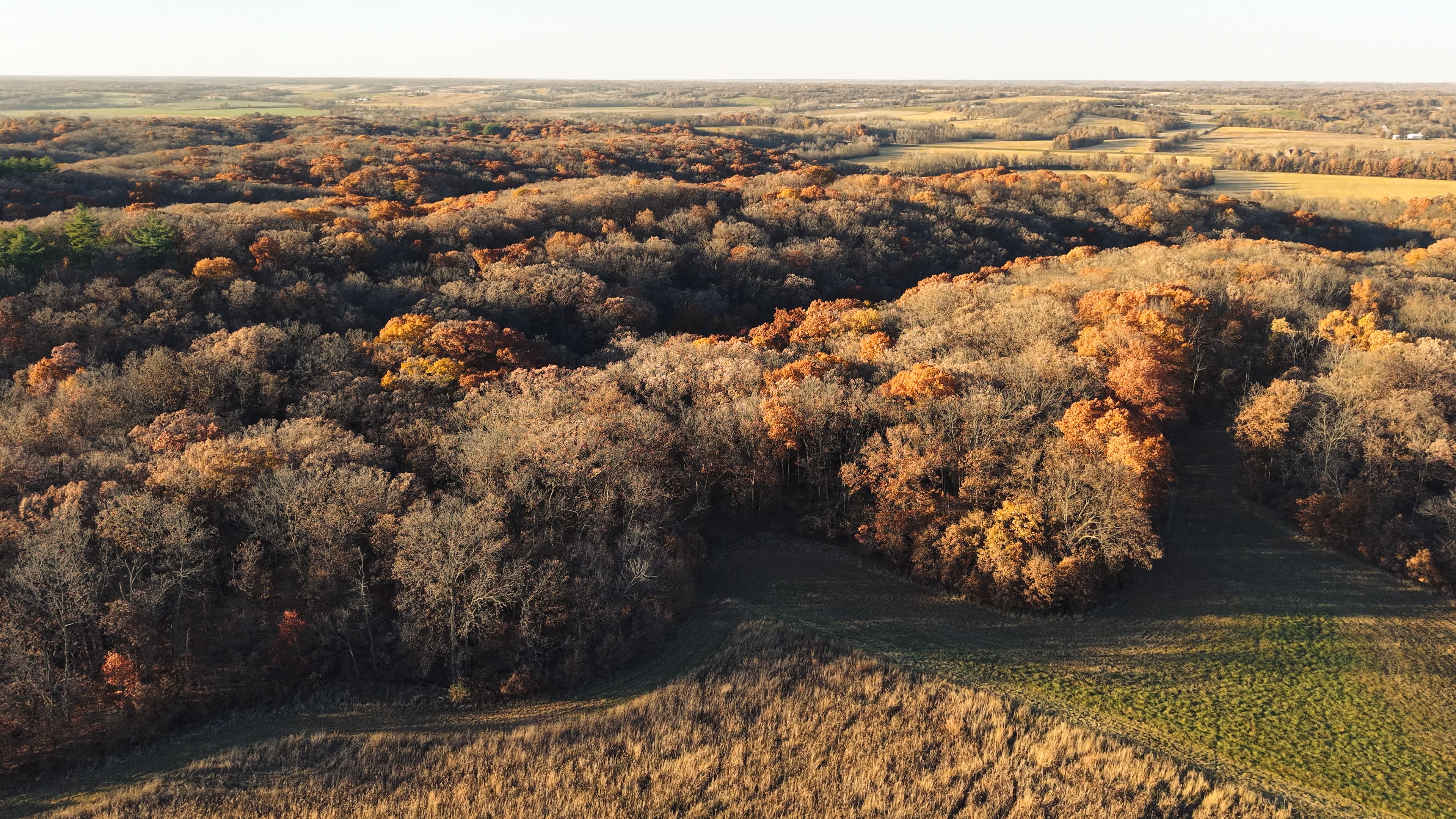 Listing Photo: DJI_20251113154901_0102_D-3