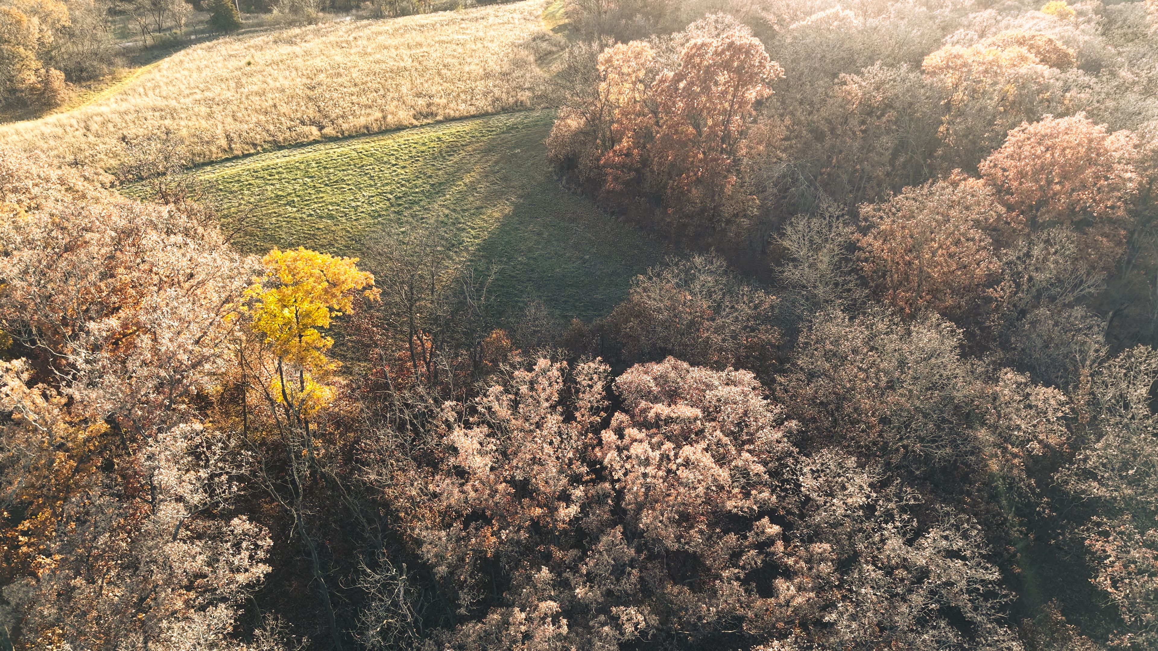 Listing Photo: DJI_20251113154901_0102_D-5