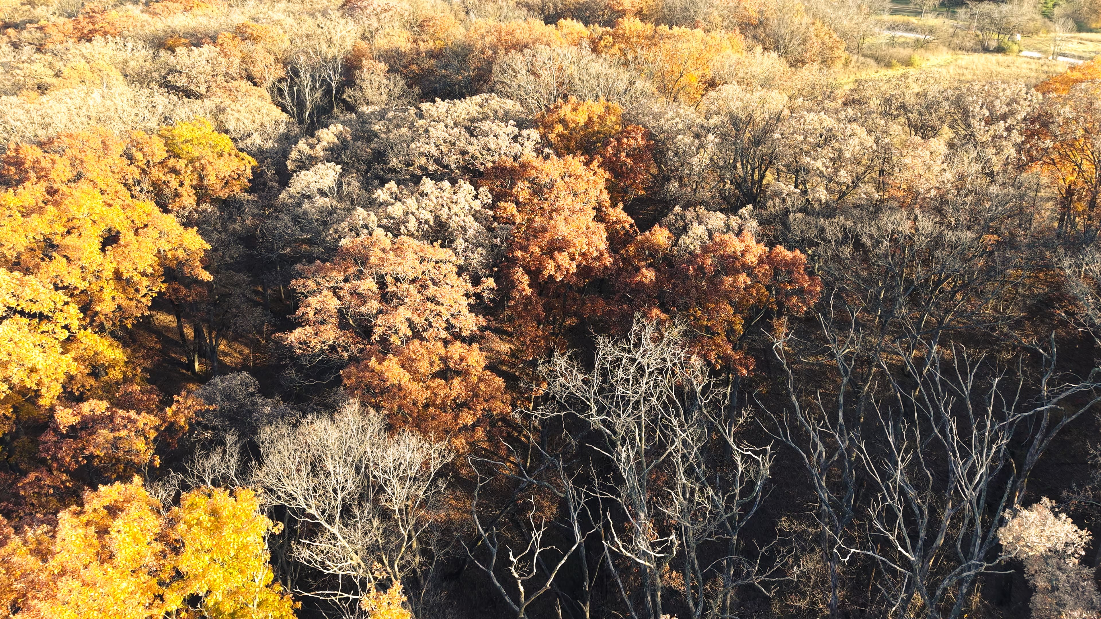 Listing Photo: DJI_20251113154901_0102_D-6