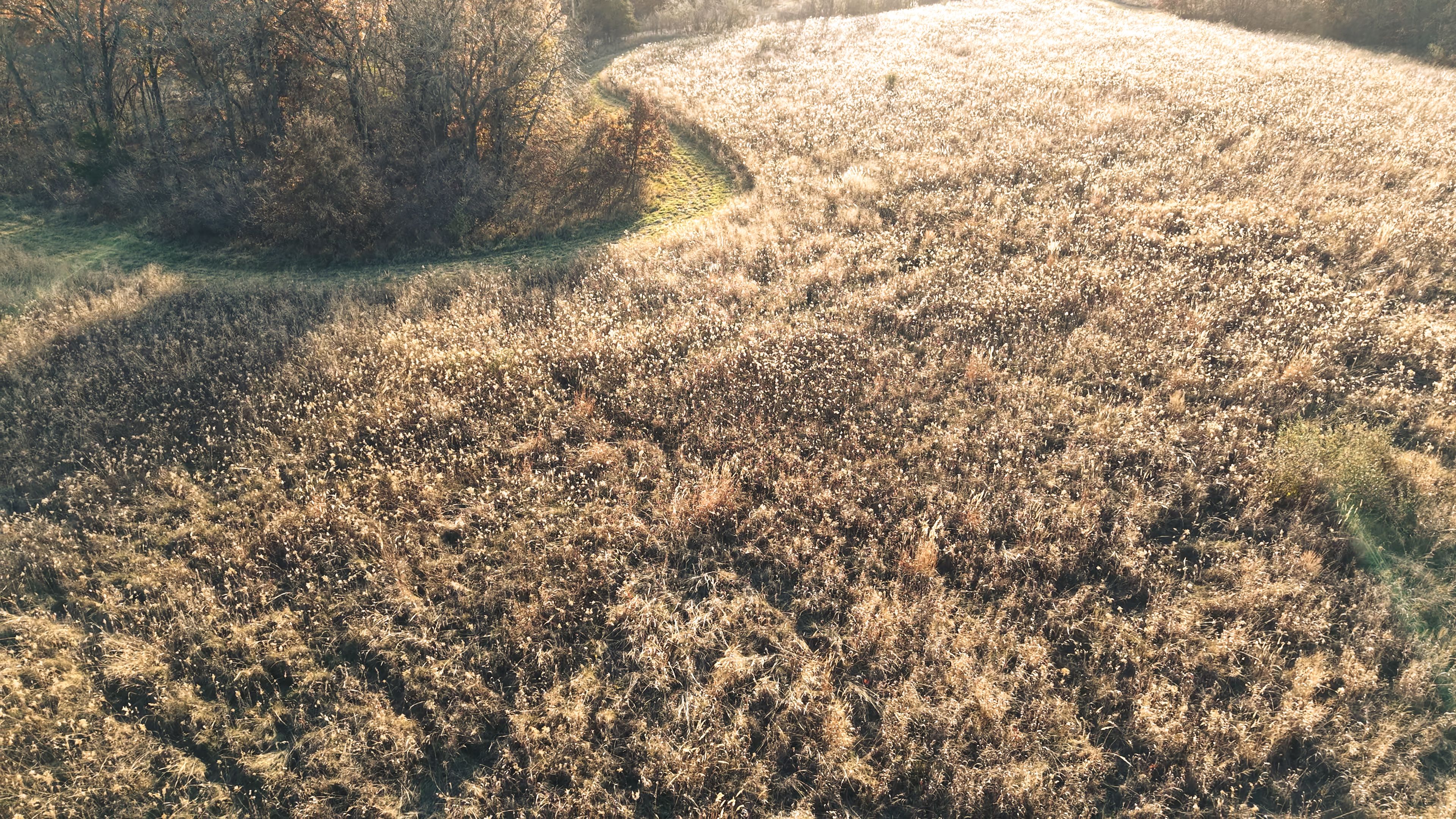 Listing Photo: DJI_20251113154901_0102_D-7