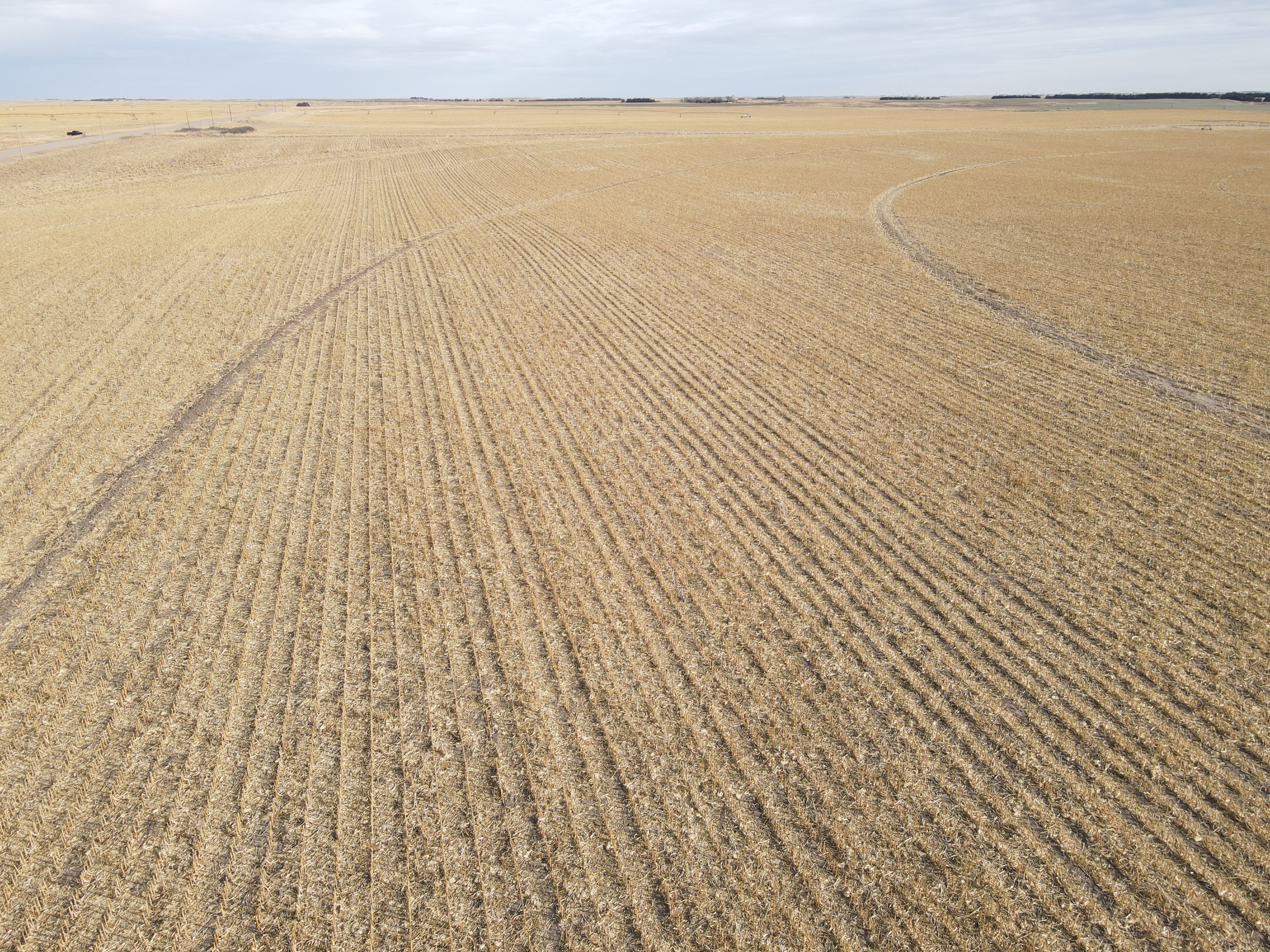 Listing Photo: Jurado