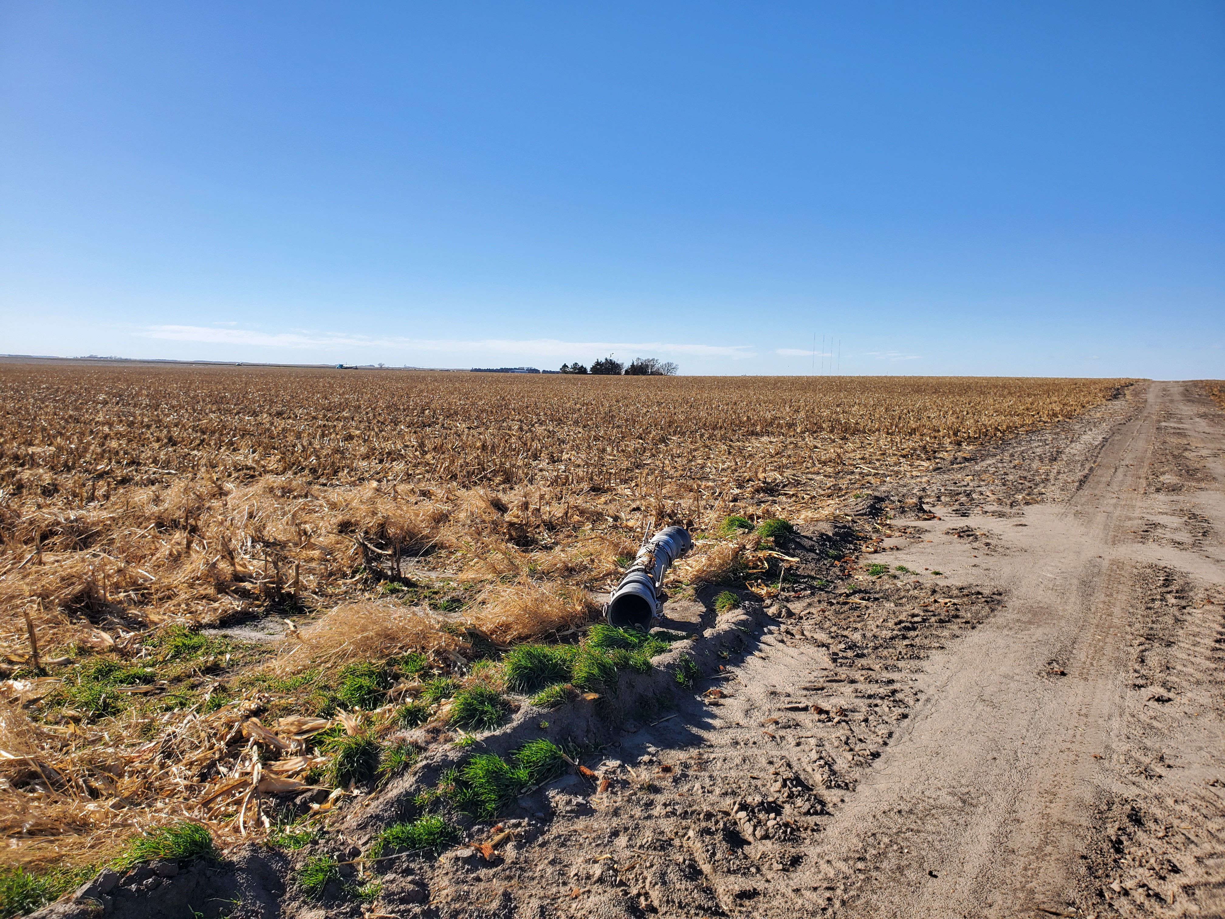 Listing Photo: Maryana Anderson edit