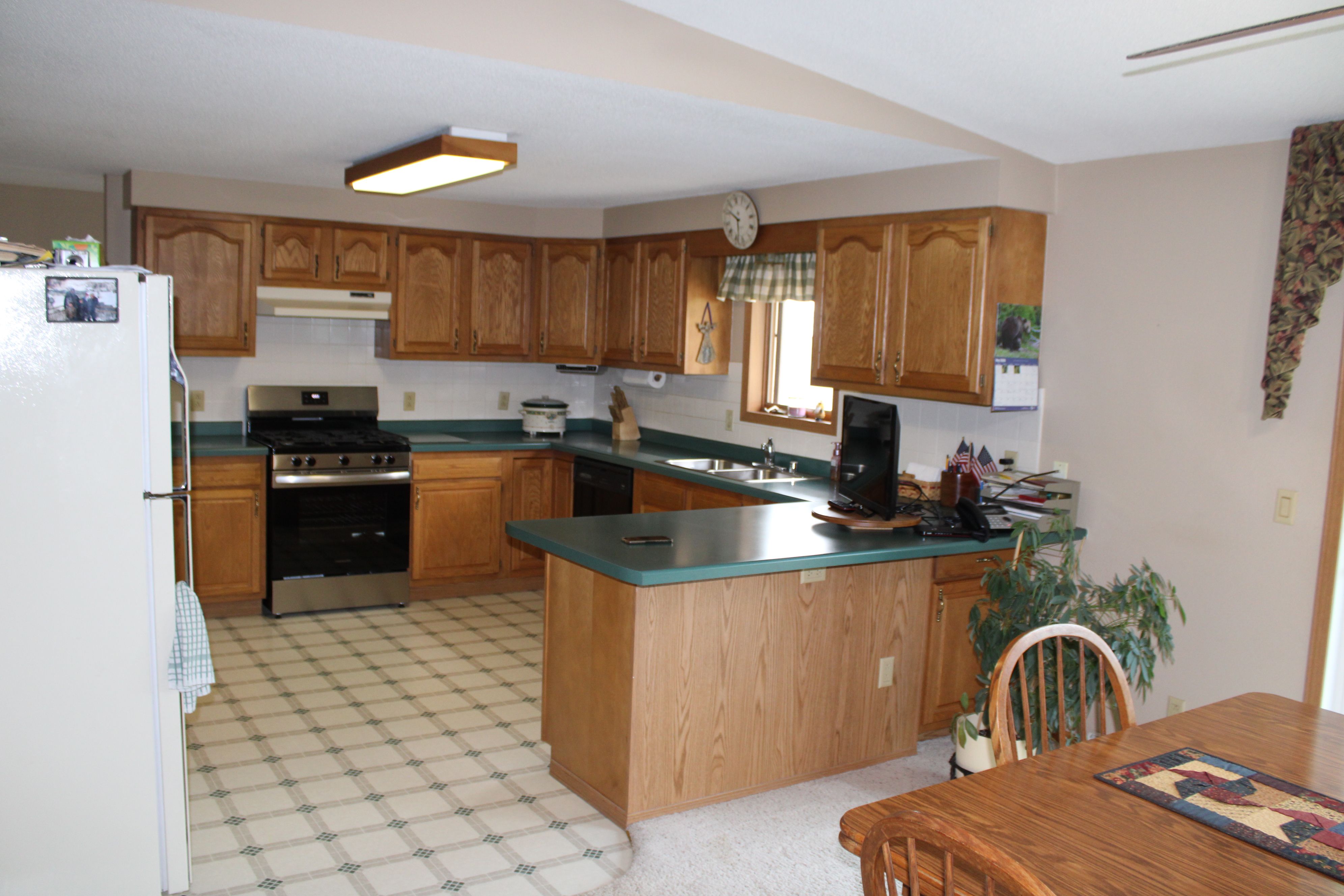 Listing Photo: Farmsite Acreage Kasson Minnesota Dodge County Southern Minnesota