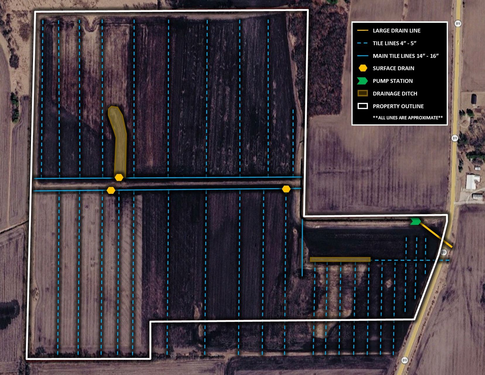 Listing Photo: Picture7