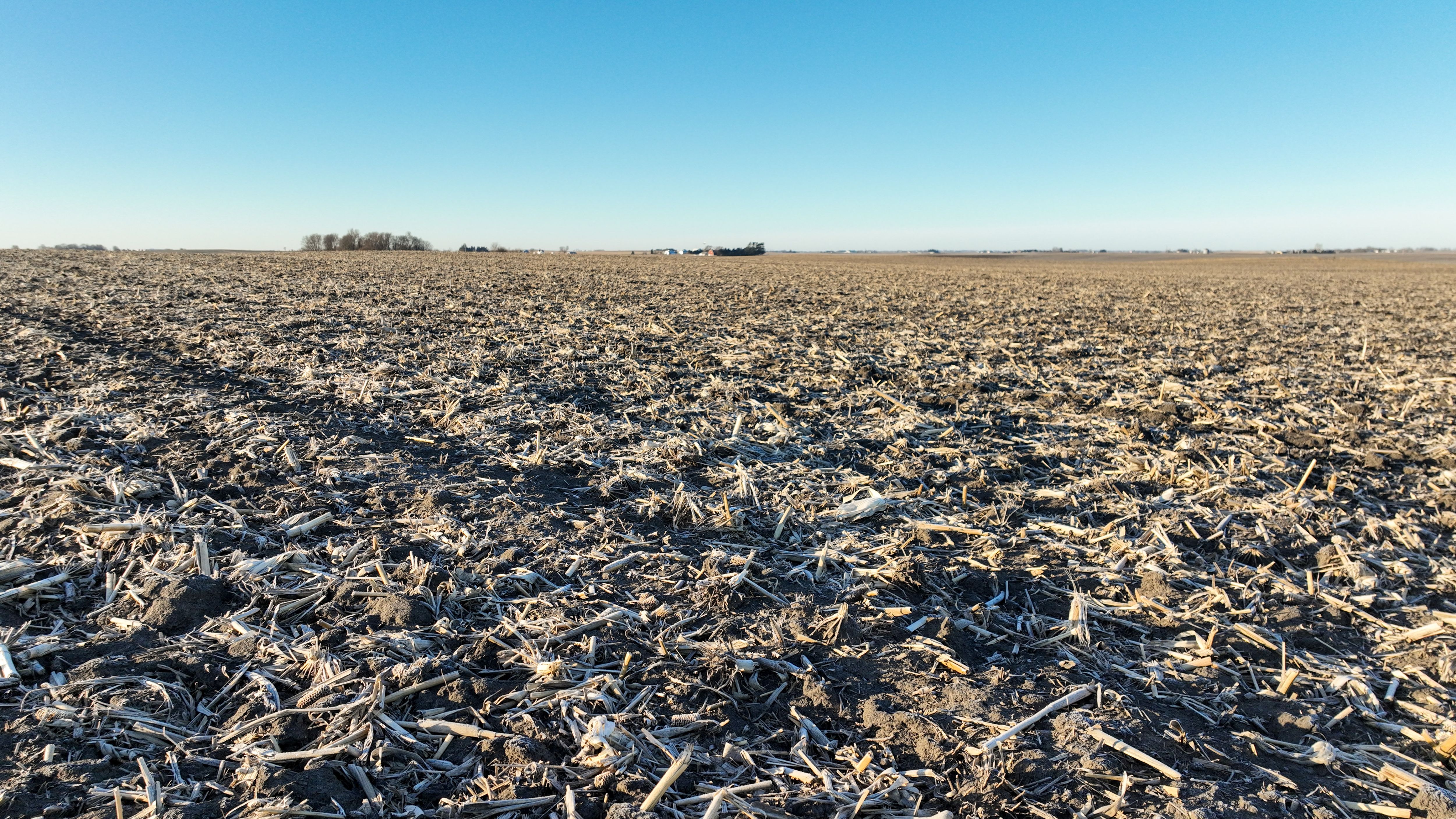 Listing Photo: Dallas County, Iowa Farmland For Sale
