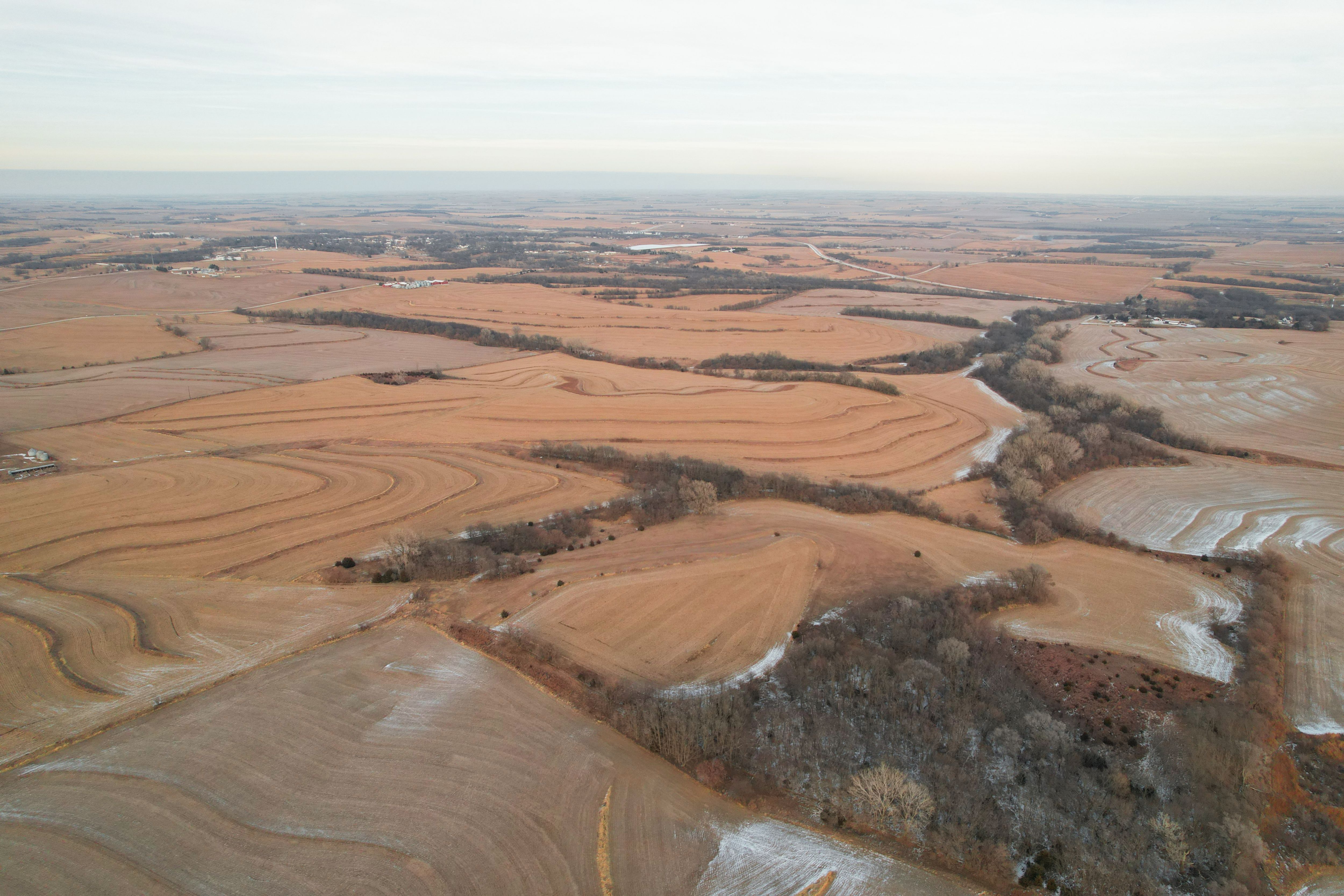 Listing Photo: DJI_0872