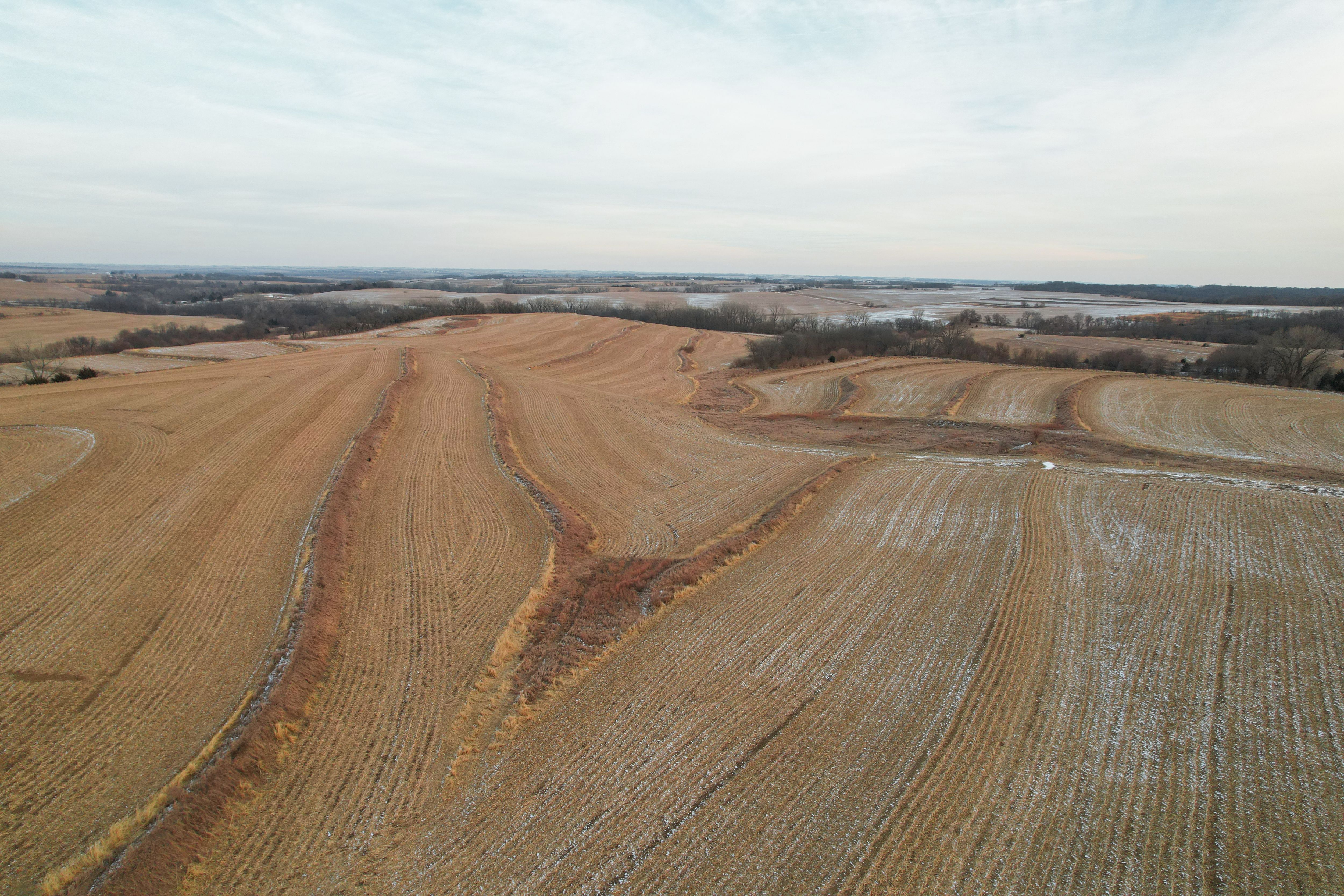 Listing Photo: DJI_0899