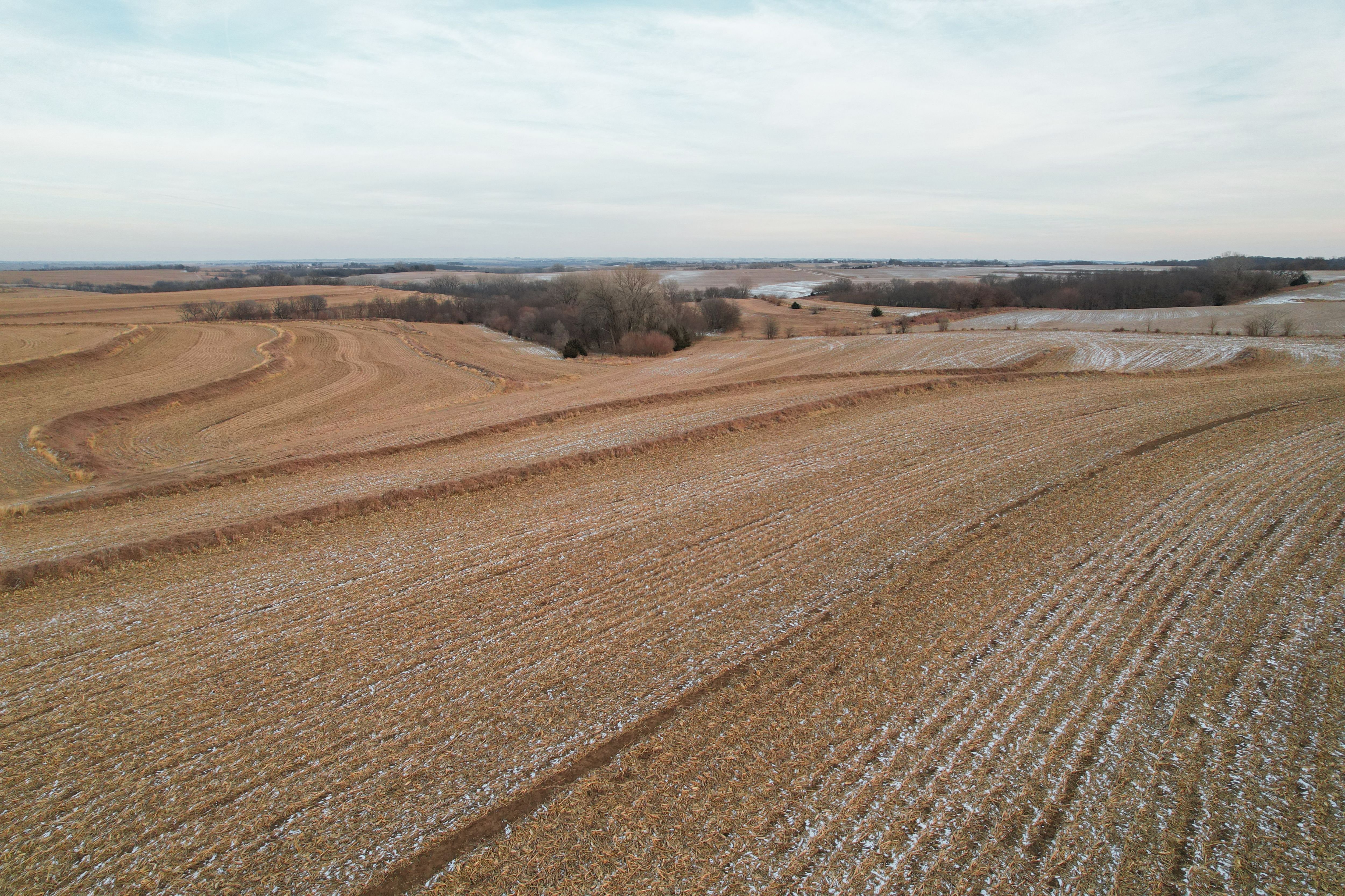 Listing Photo: DJI_0908