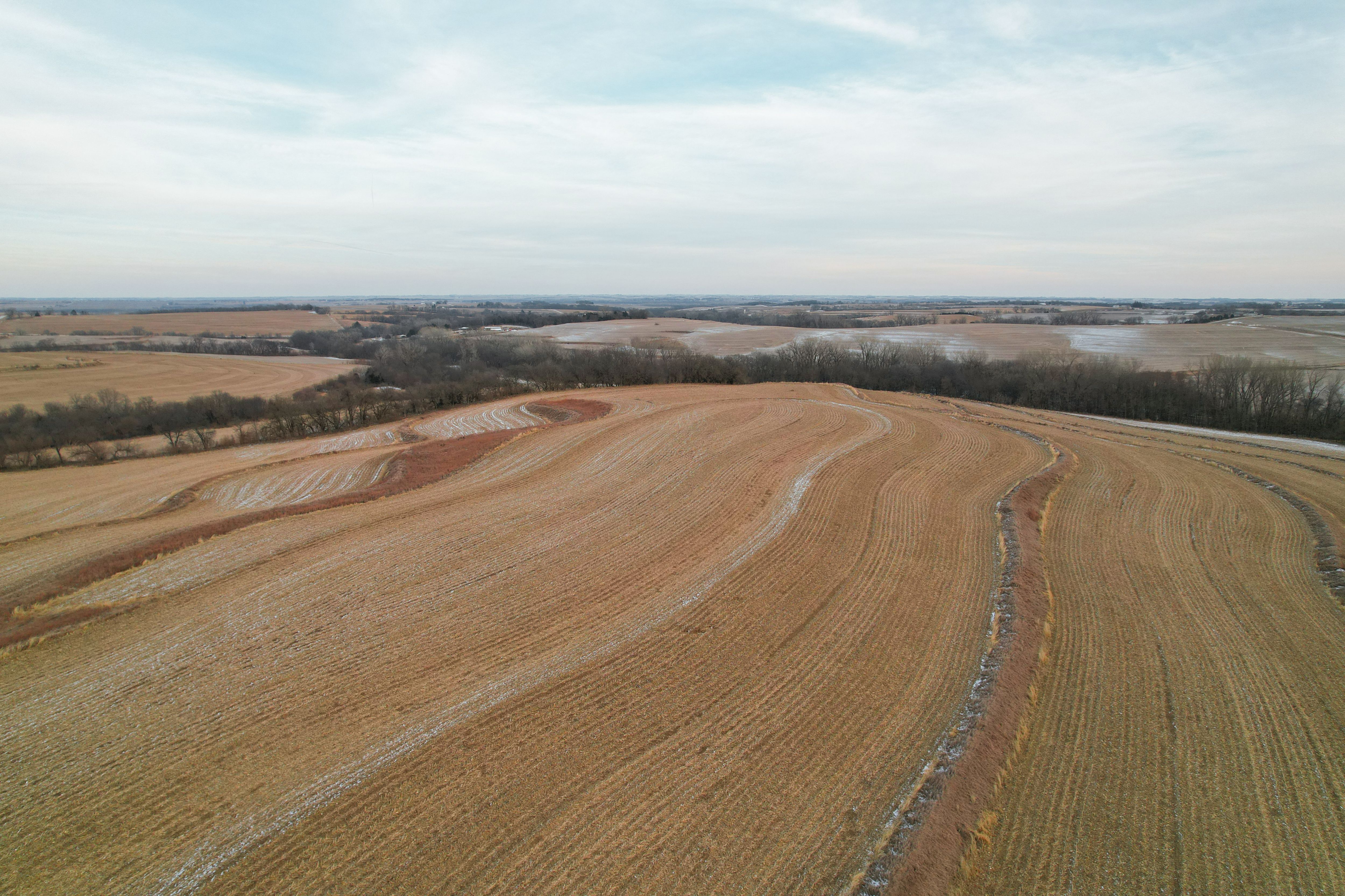 Listing Photo: DJI_0919