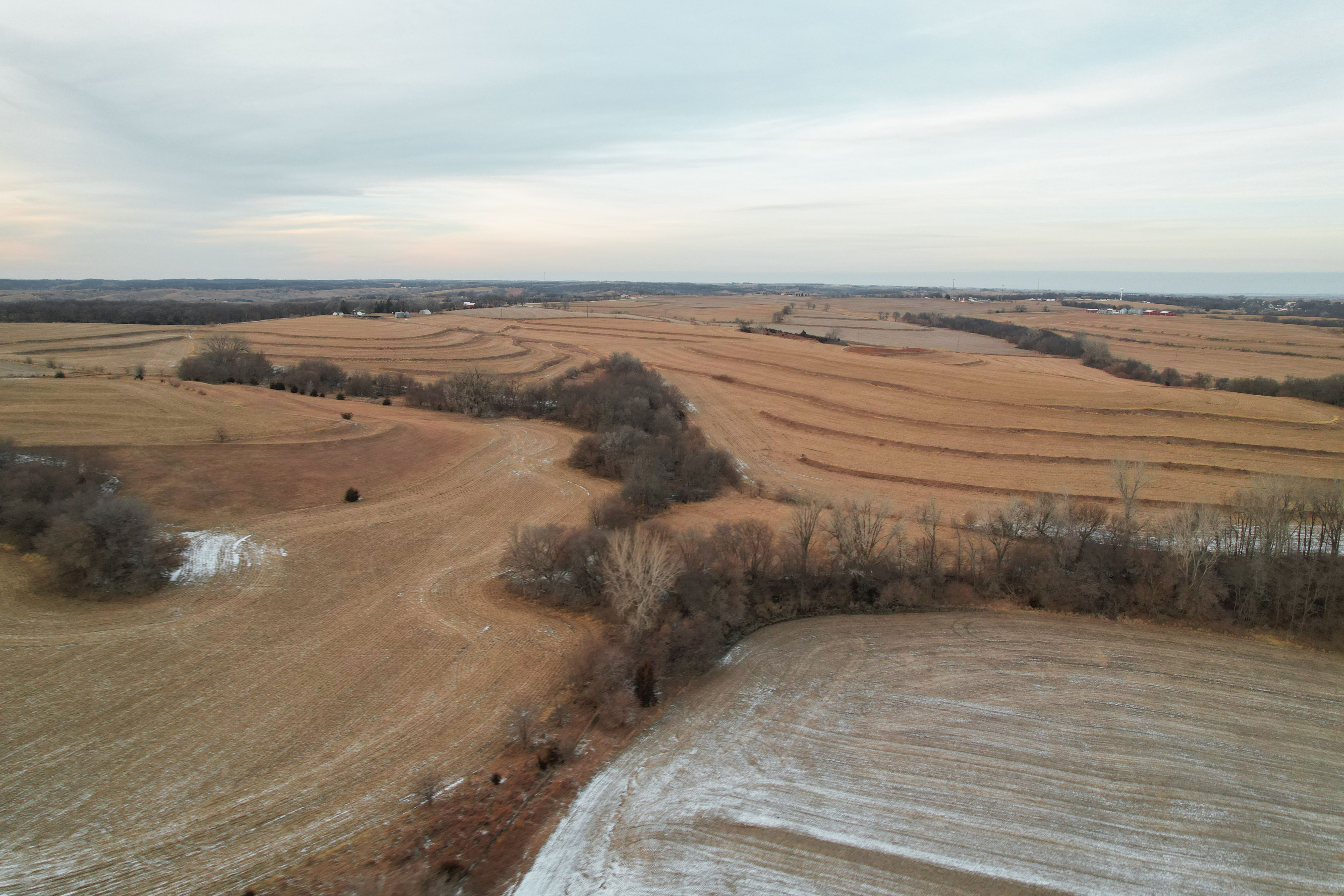 Listing Photo: DJI_0941