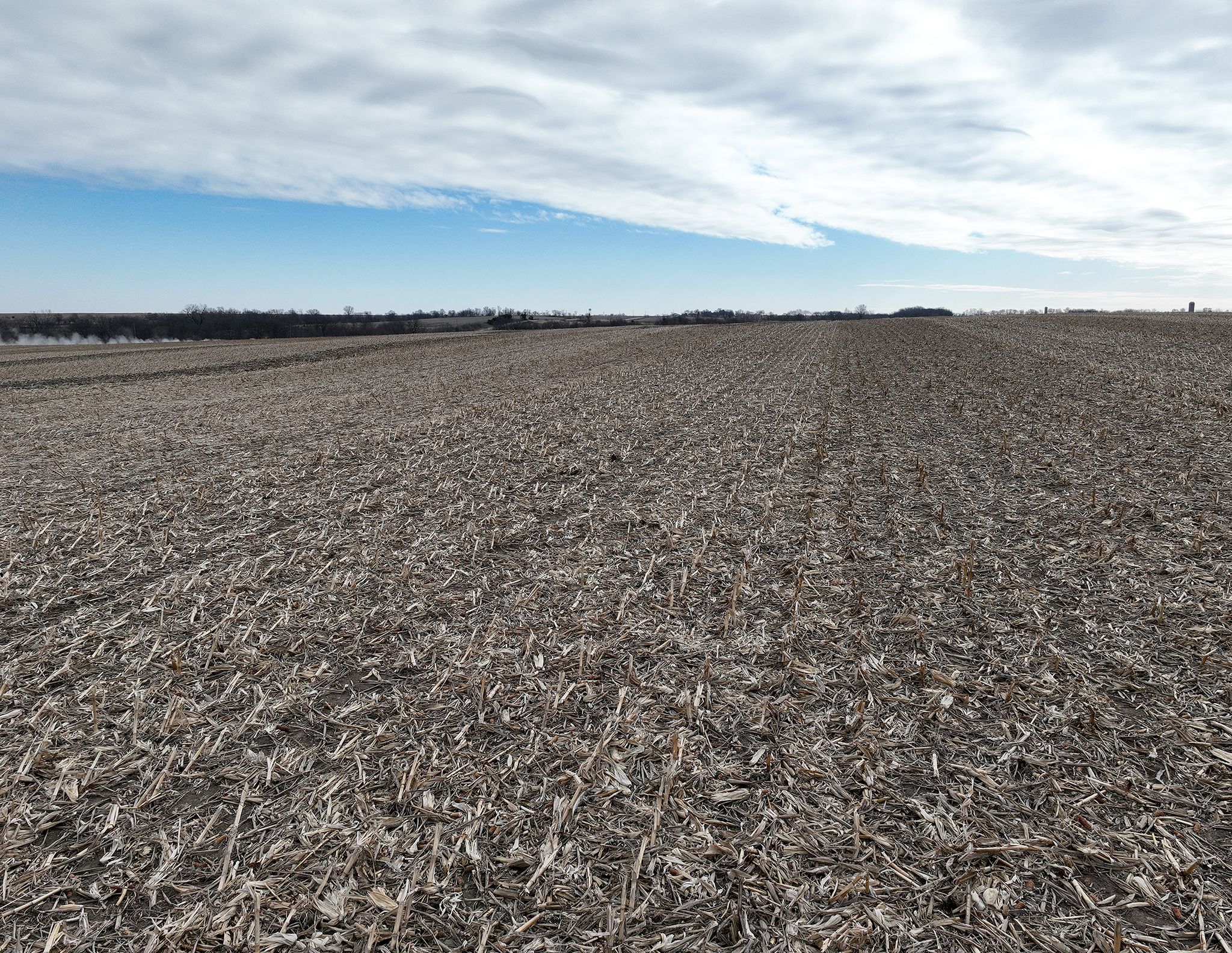 Listing Photo: DJI_0099