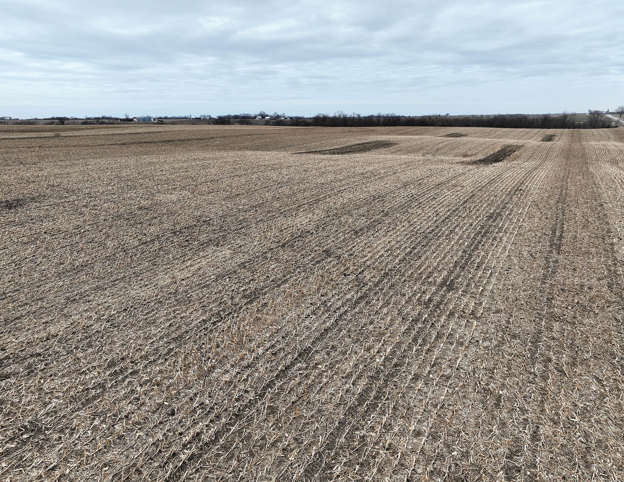 Listing Photo: DJI_0105