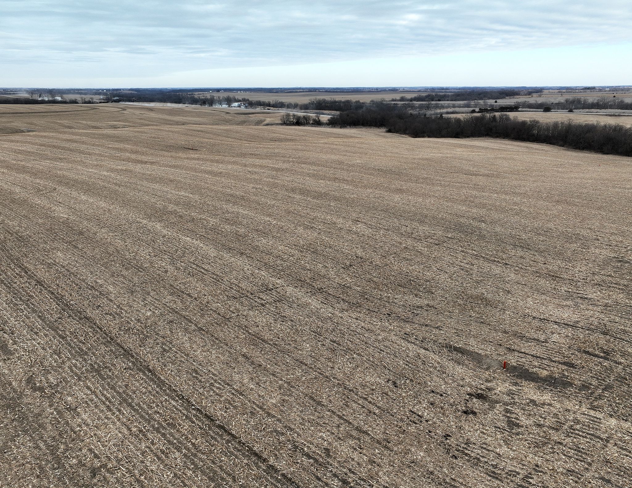 Listing Photo: DJI_0126