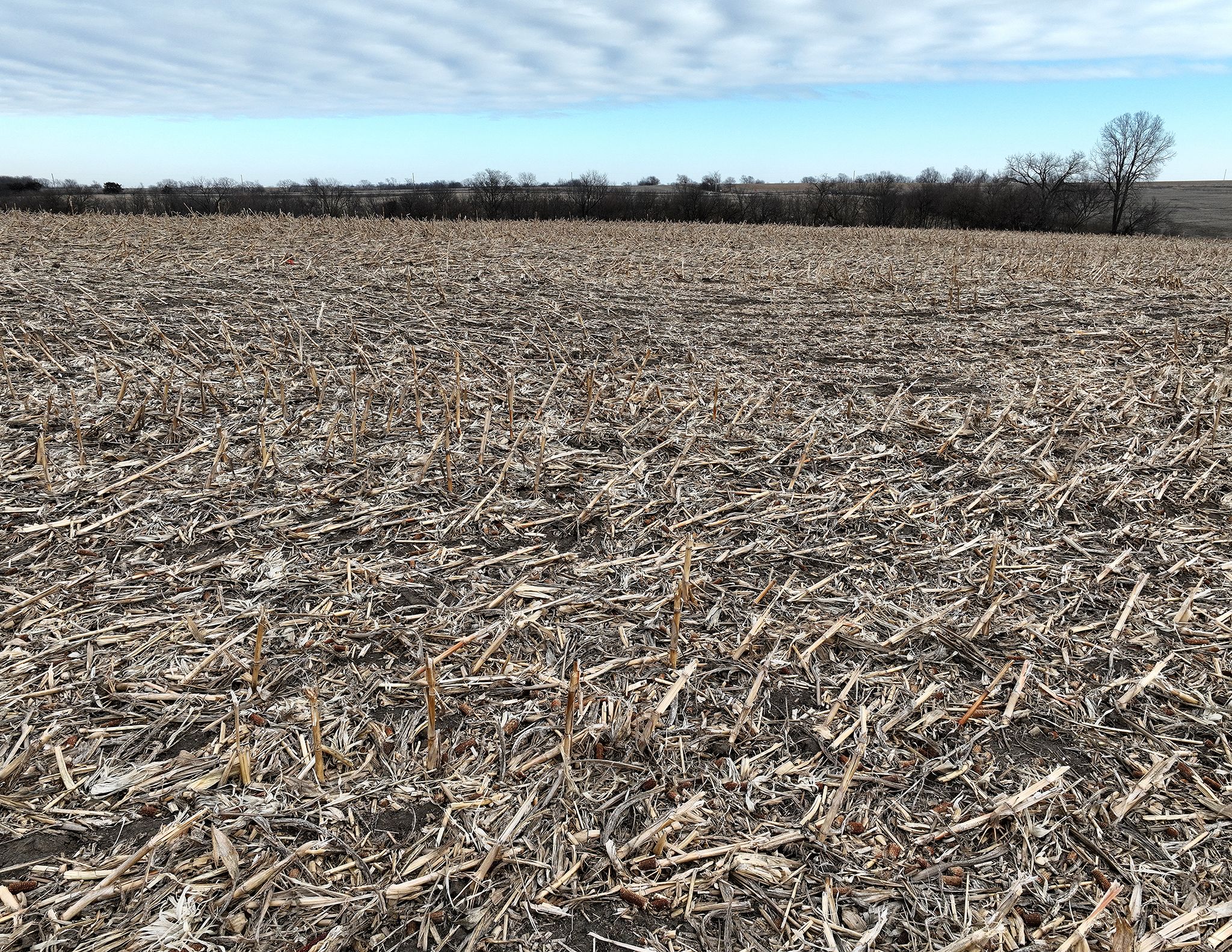 Listing Photo: DJI_0128