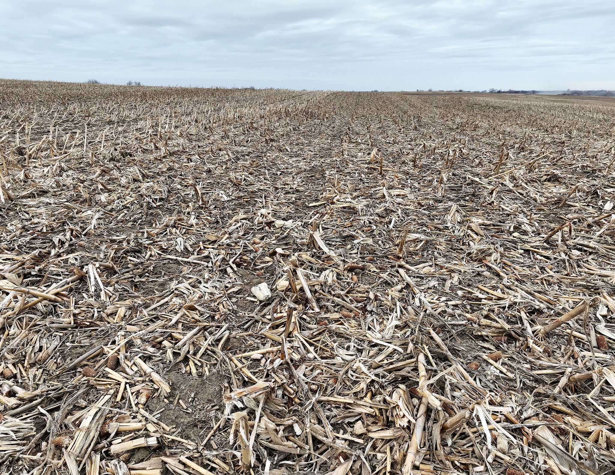 Listing Photo: DJI_0130