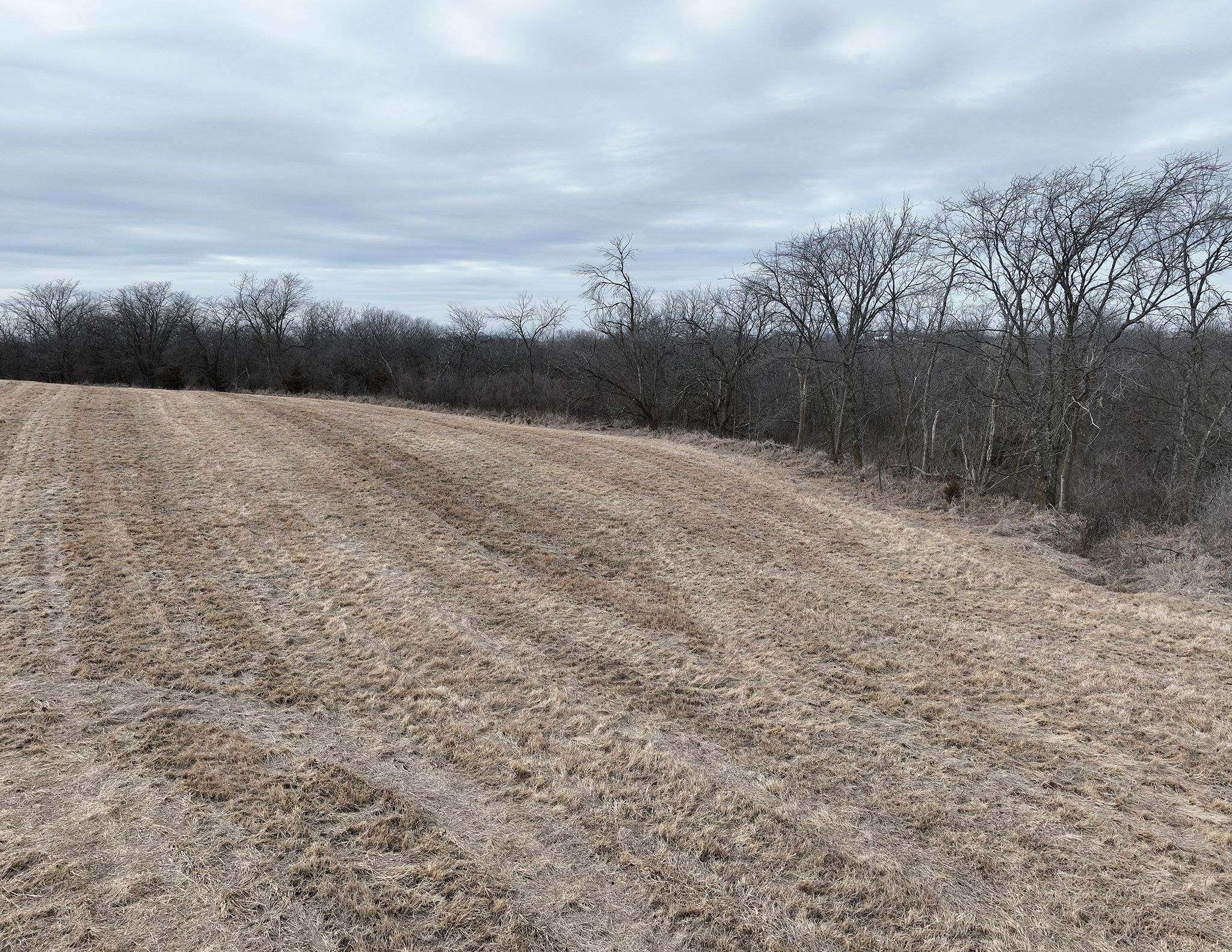 Listing Photo: DJI_0081